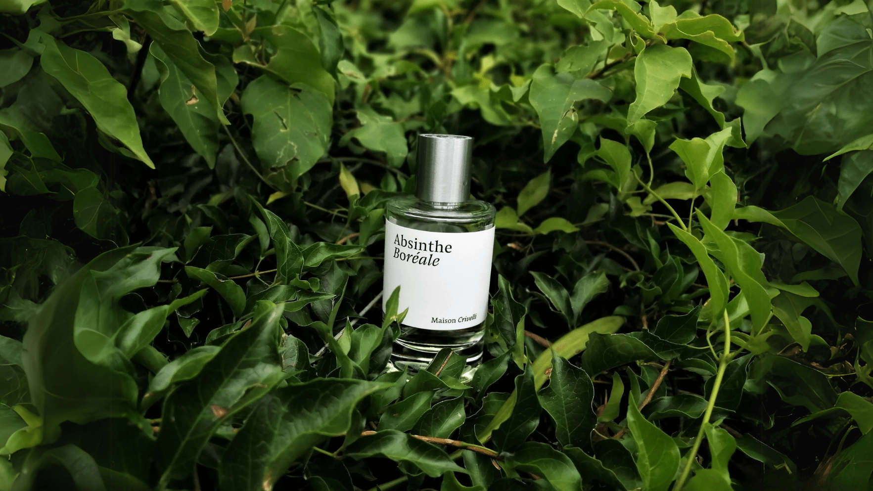 Maison Crivelli Absinthe Boreale EDP Feature image