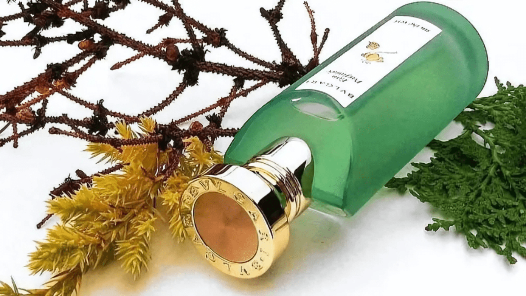 Bvlgari Eau Parfumee The Vert EDT Feature image
