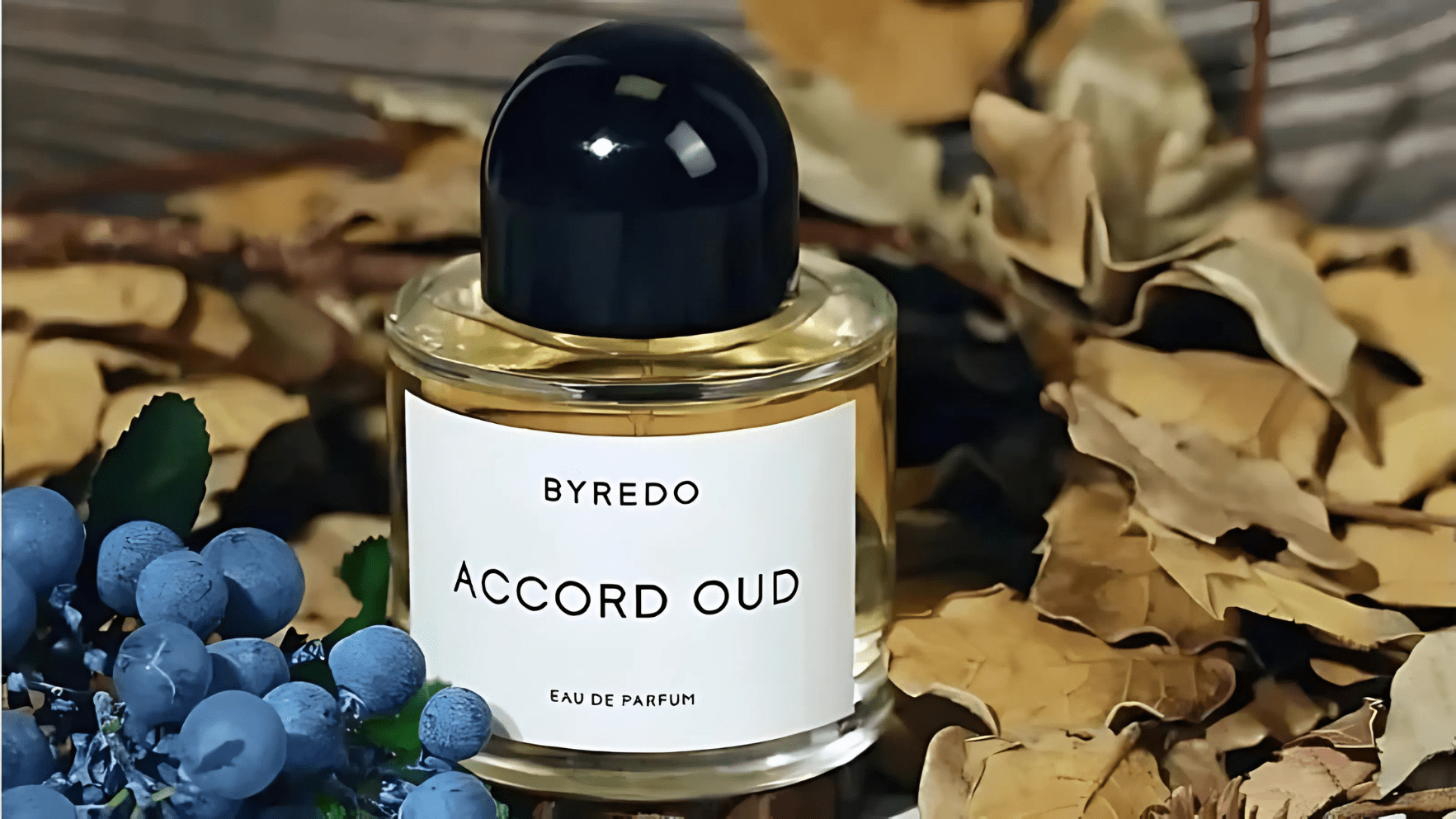 Byredo Accord Oud EDP Feature image