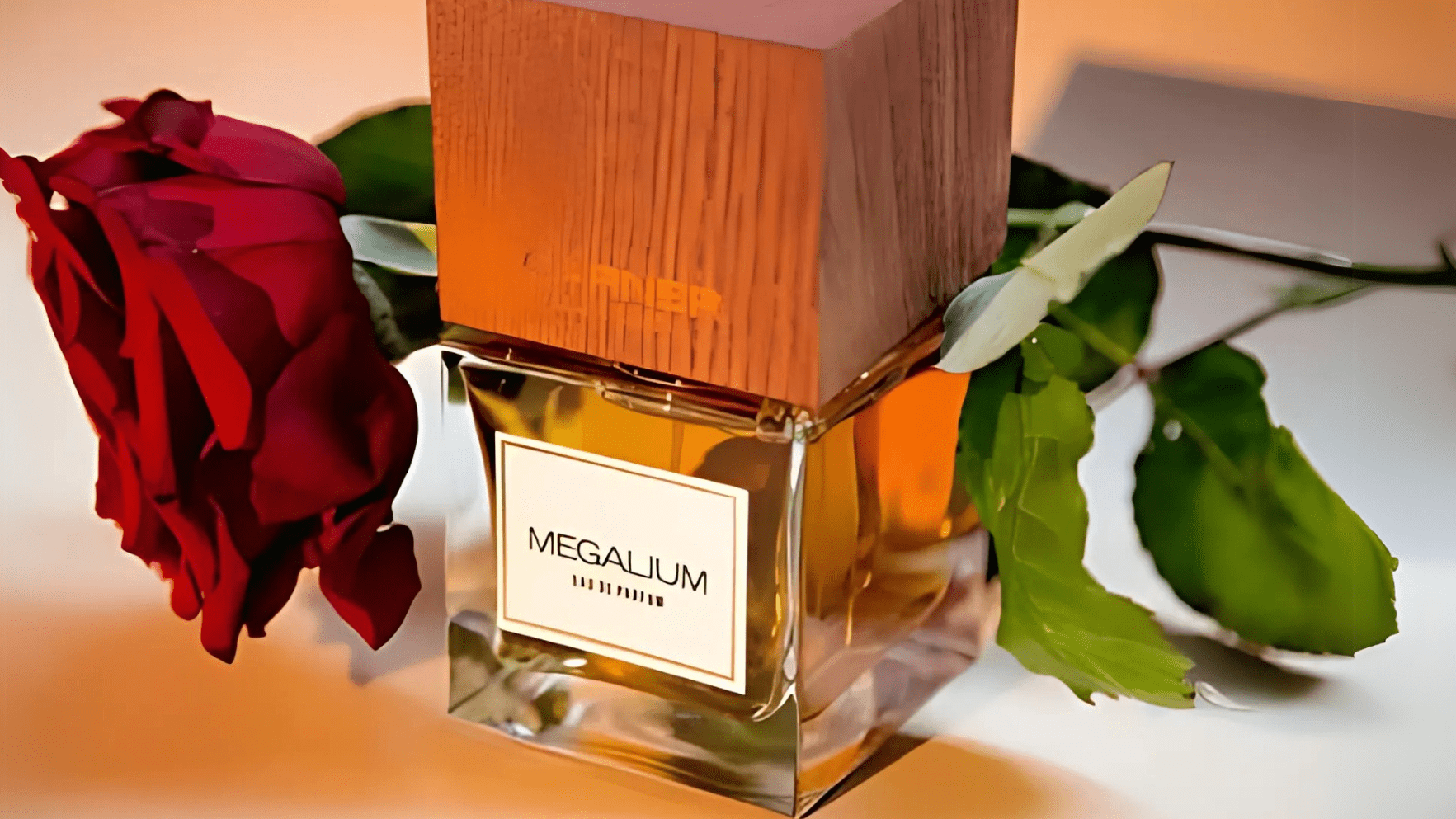 Carner Barcelona Megalium EDP Feature image