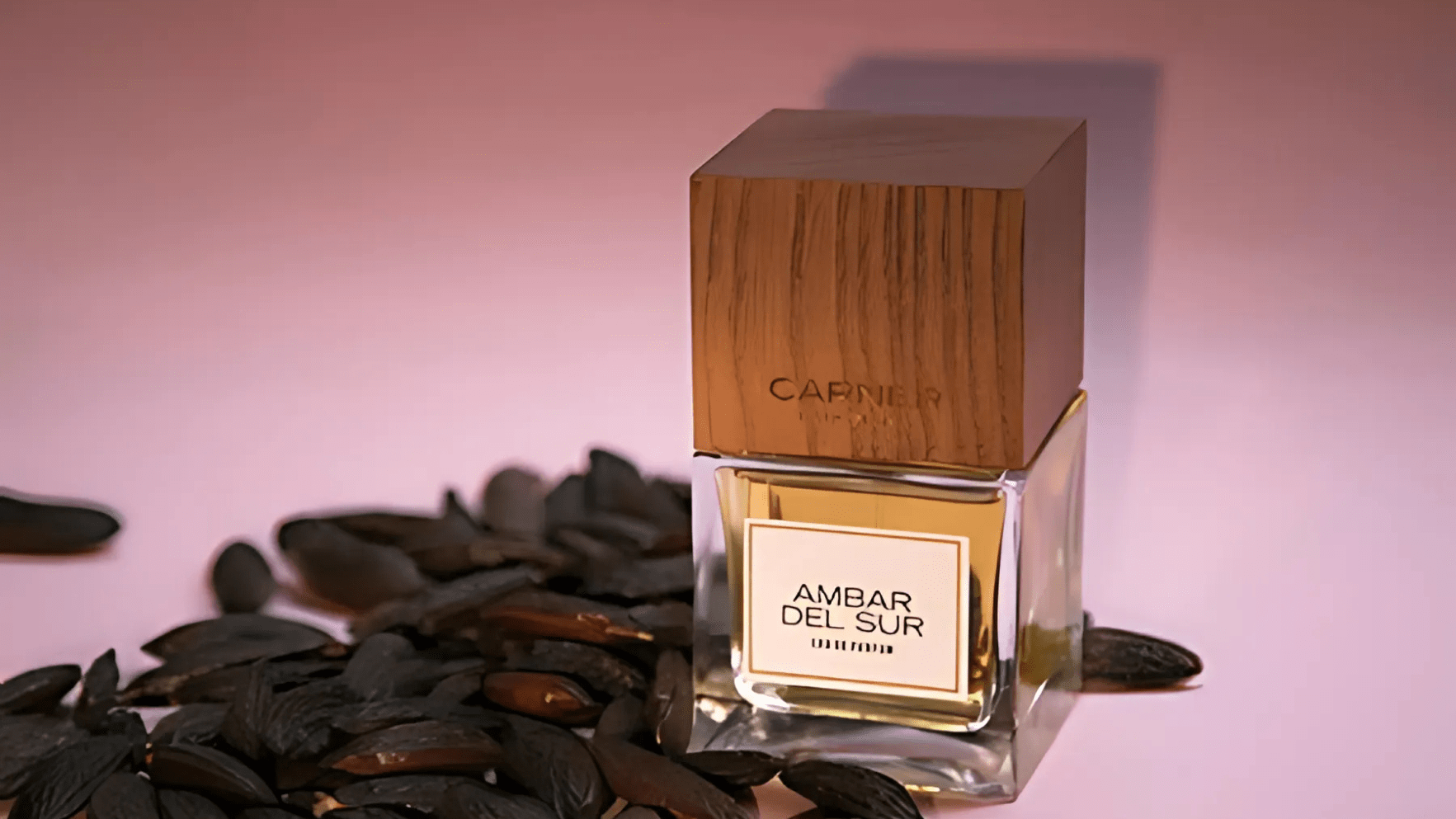 Carner Barcelona Ambar Del Sur EDP Feature image