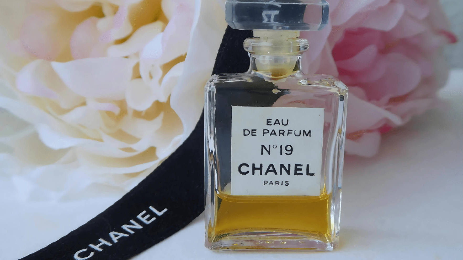 Chanel No. 19 Parfum Feature image