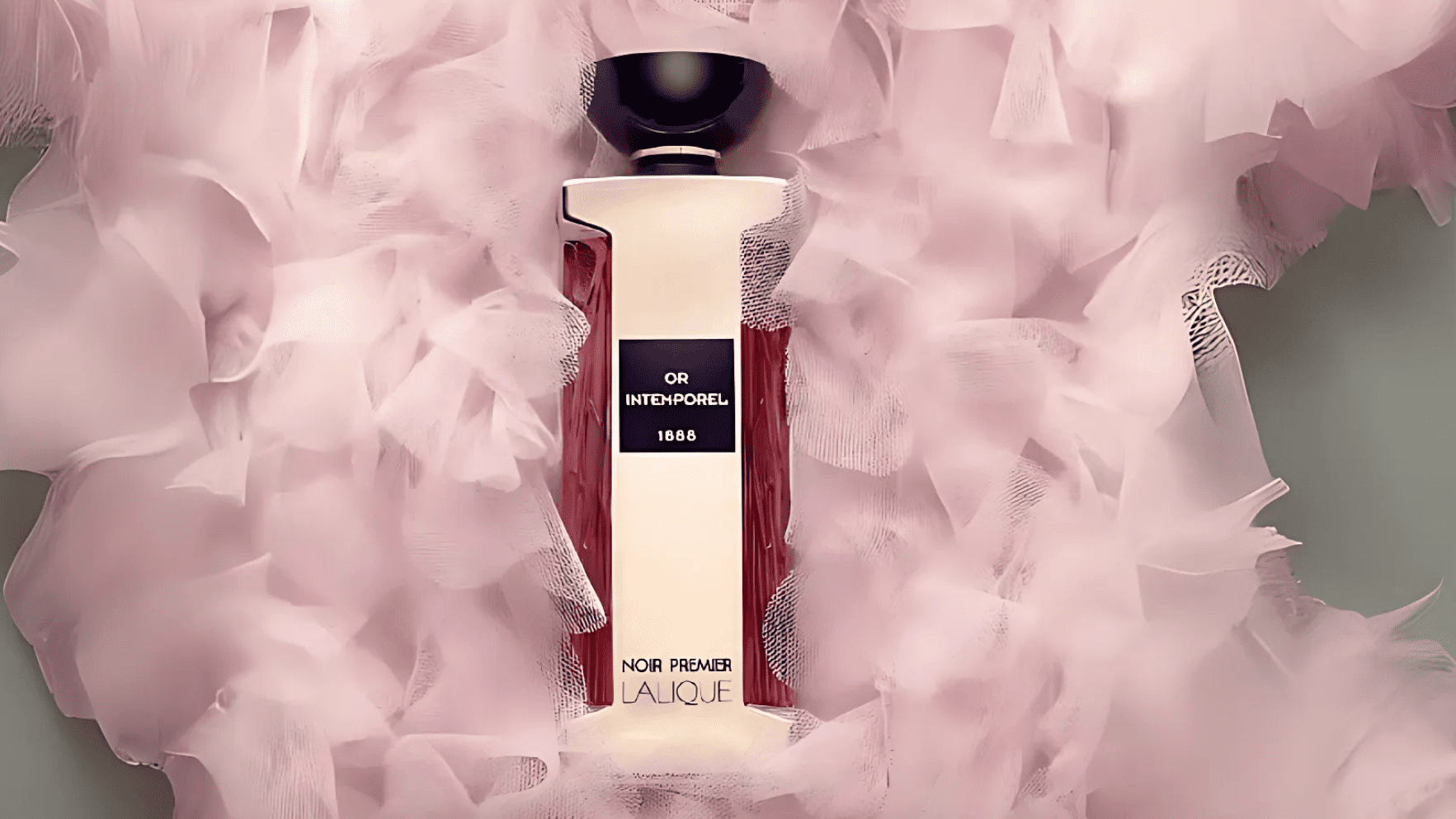 Lalique Or Entemporel EDP Feature image