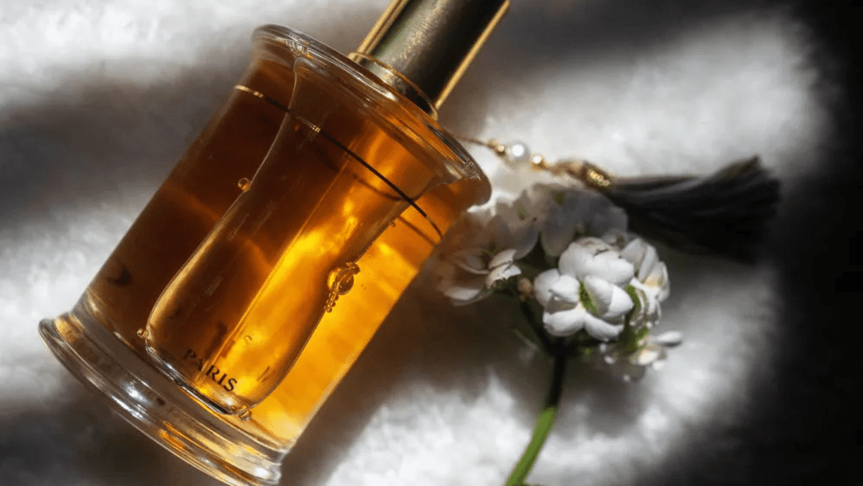 MDCI Peche Cardinal EDP Feature image