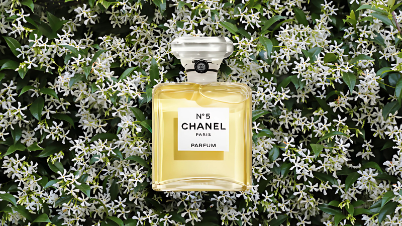 Chanel No. 5 EDT Feature image
