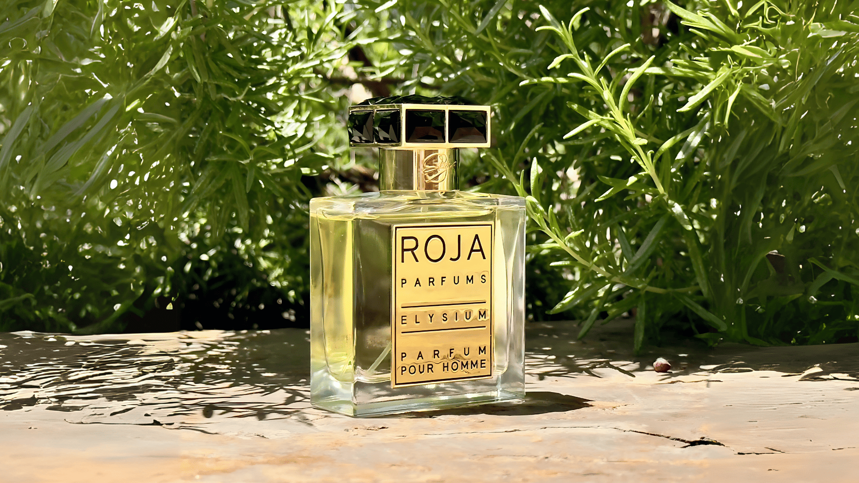 Roja Elysium Pour Homme Parfum Feature image