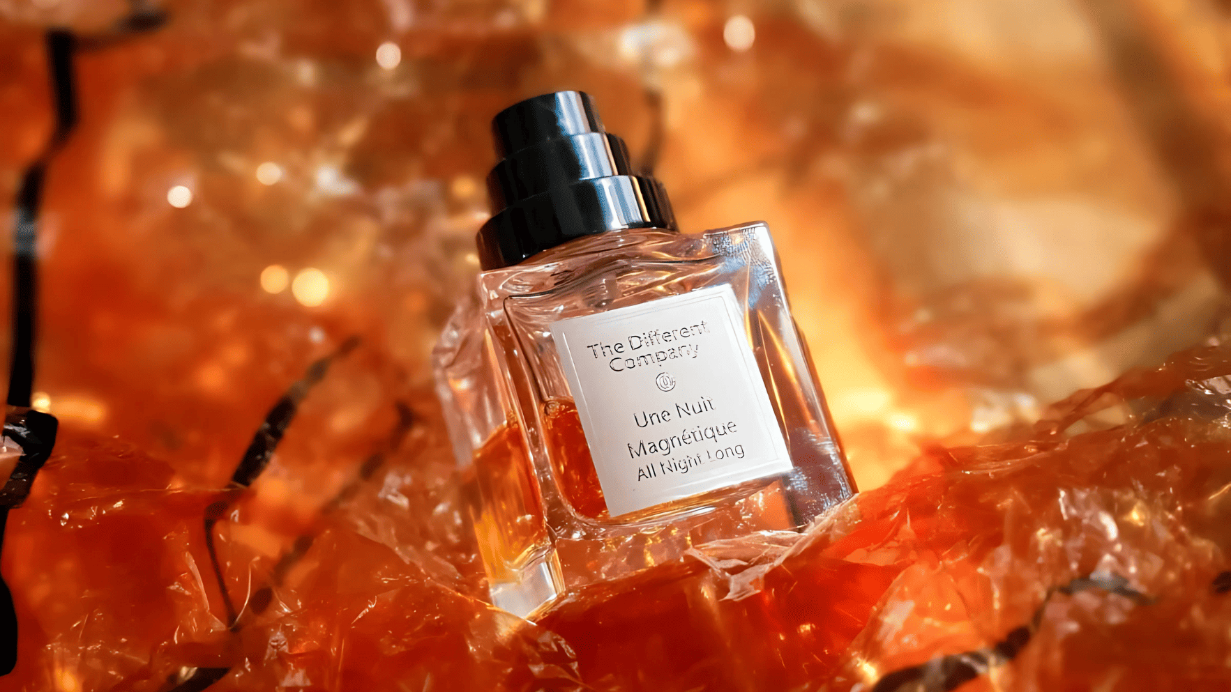 The Different Company Une Nuit Magnetique EDP Feature image
