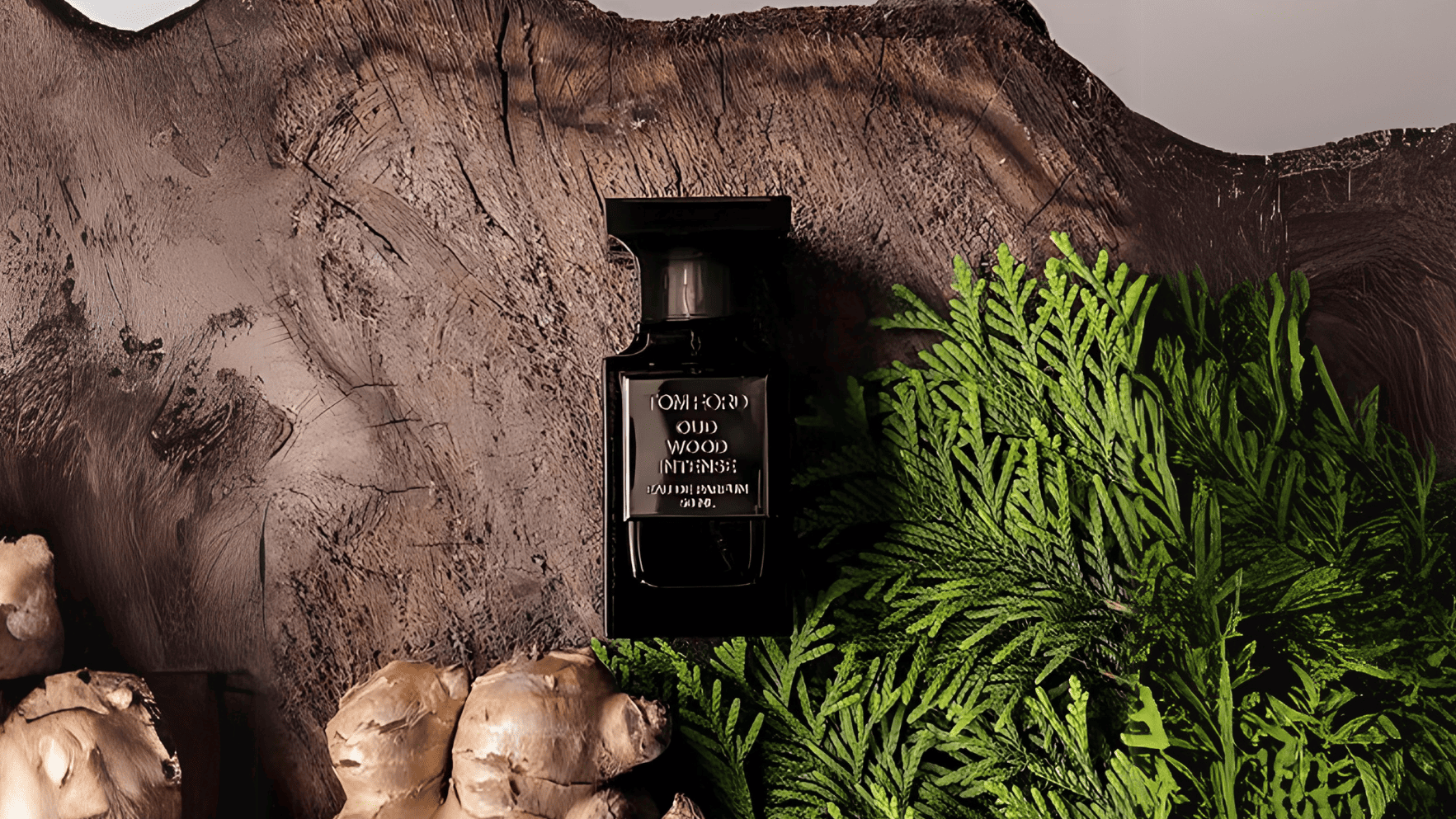 Tom Ford Oud Wood Intense EDP Feature image