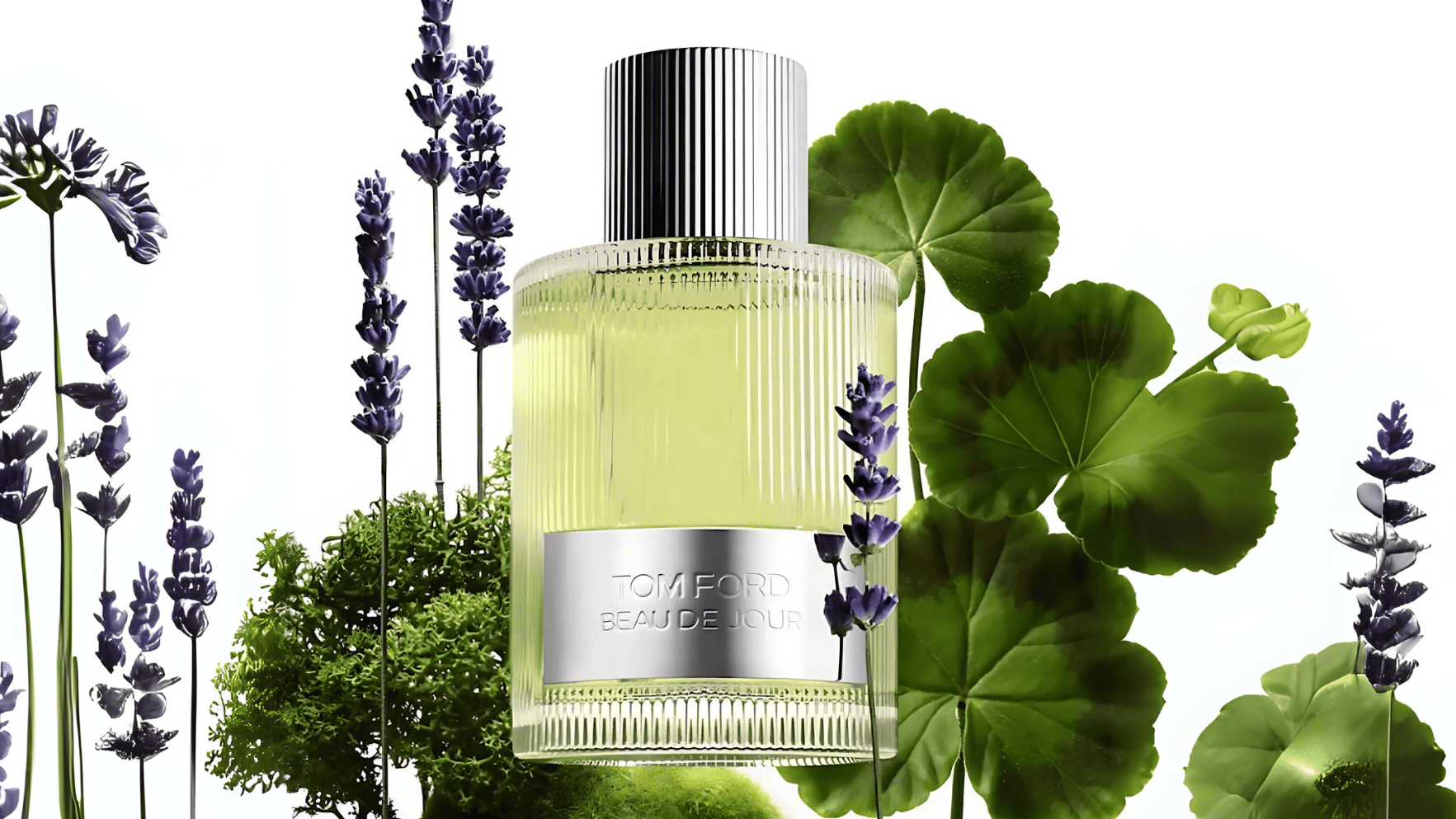 Tom Ford Beau De Jour EDP Feature image