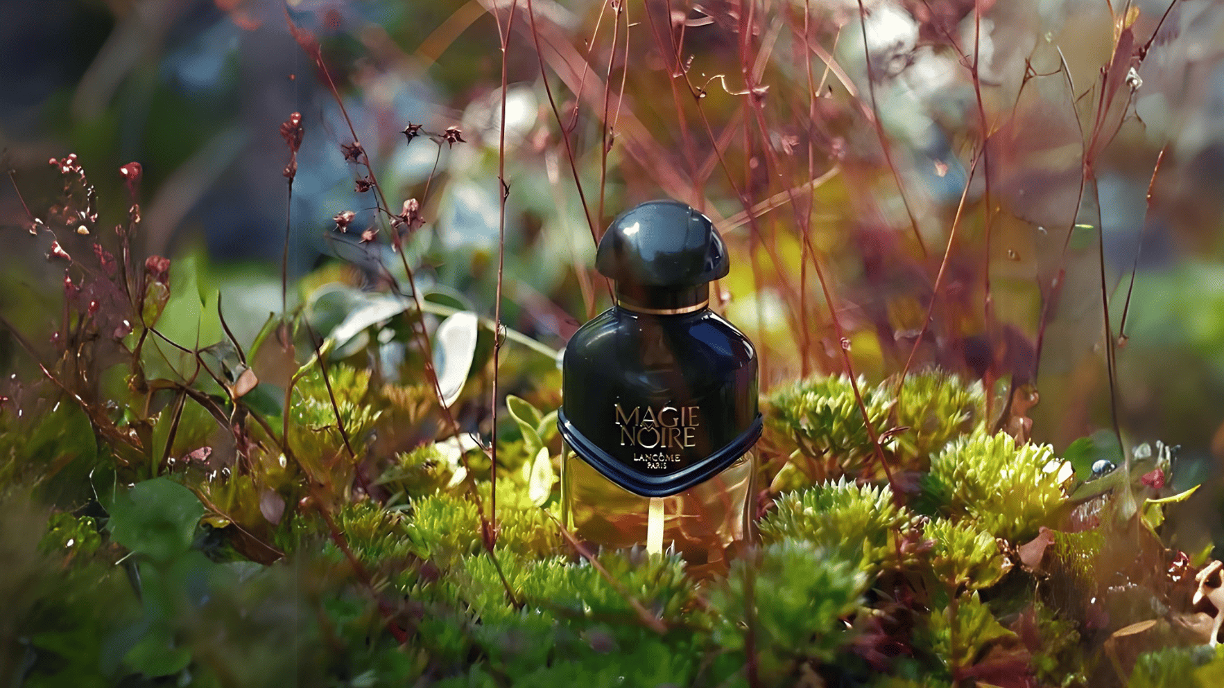 Lancome Magie Noire EDT Feature image