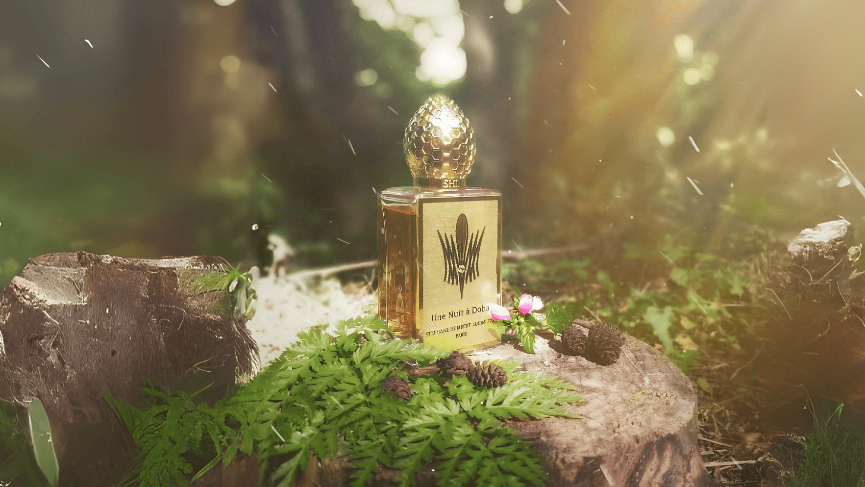 Stephane Humbert Lucas Une Nuit A Doha EDP Feature image