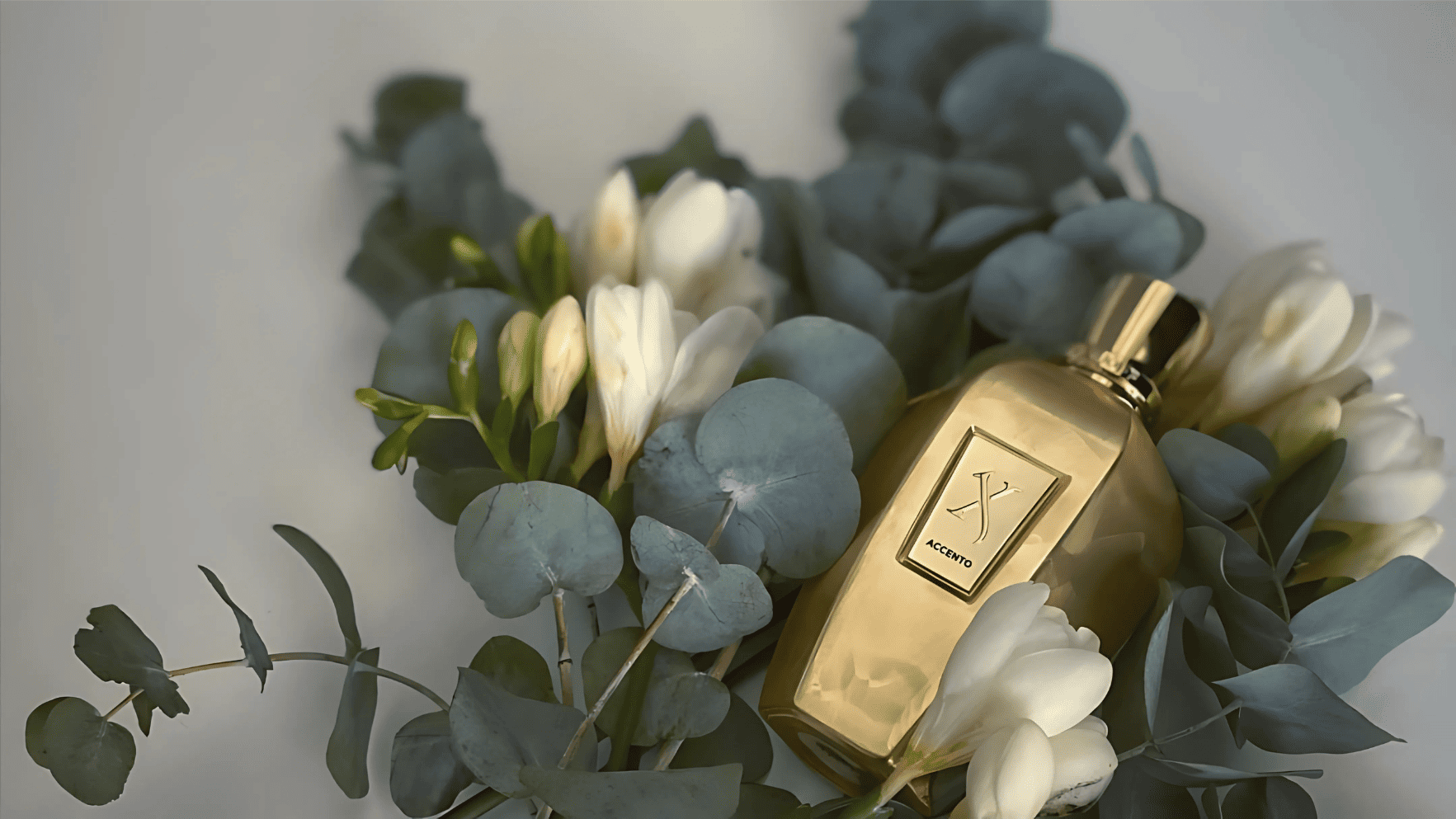 Xerjoff Accento Overdose EDP Feature image