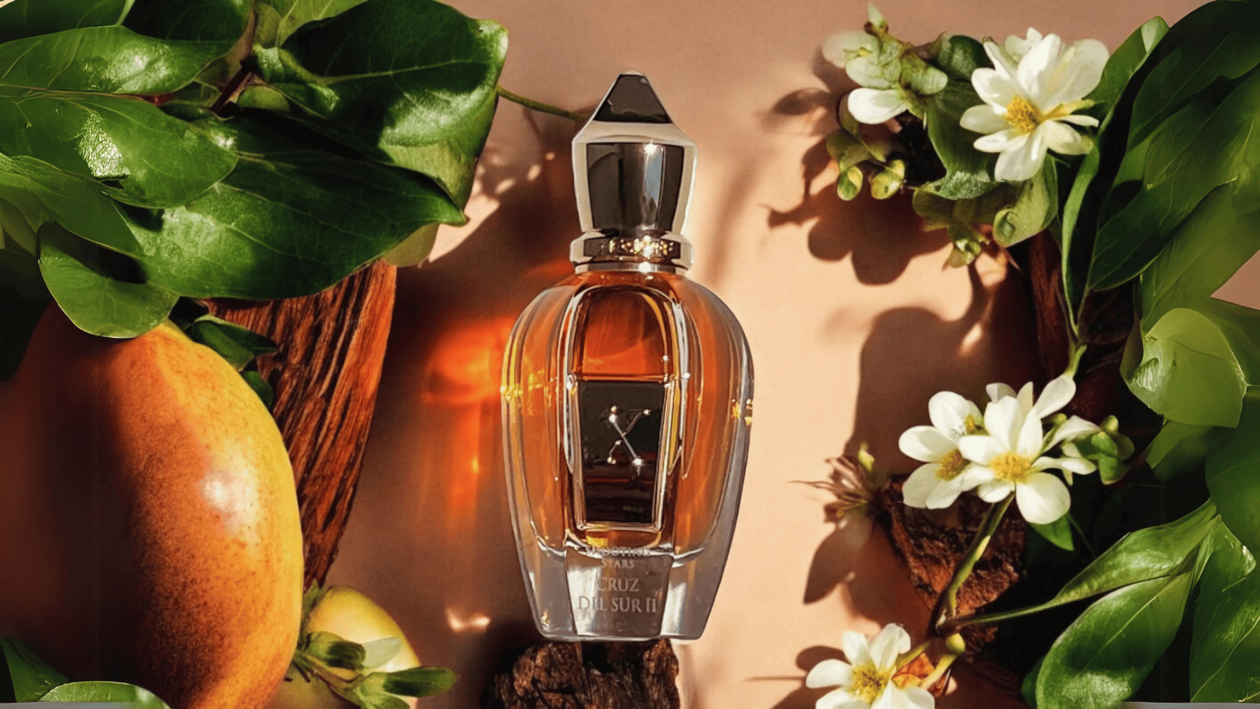 Xerjoff Cruz Del Sur II Parfum Feature image