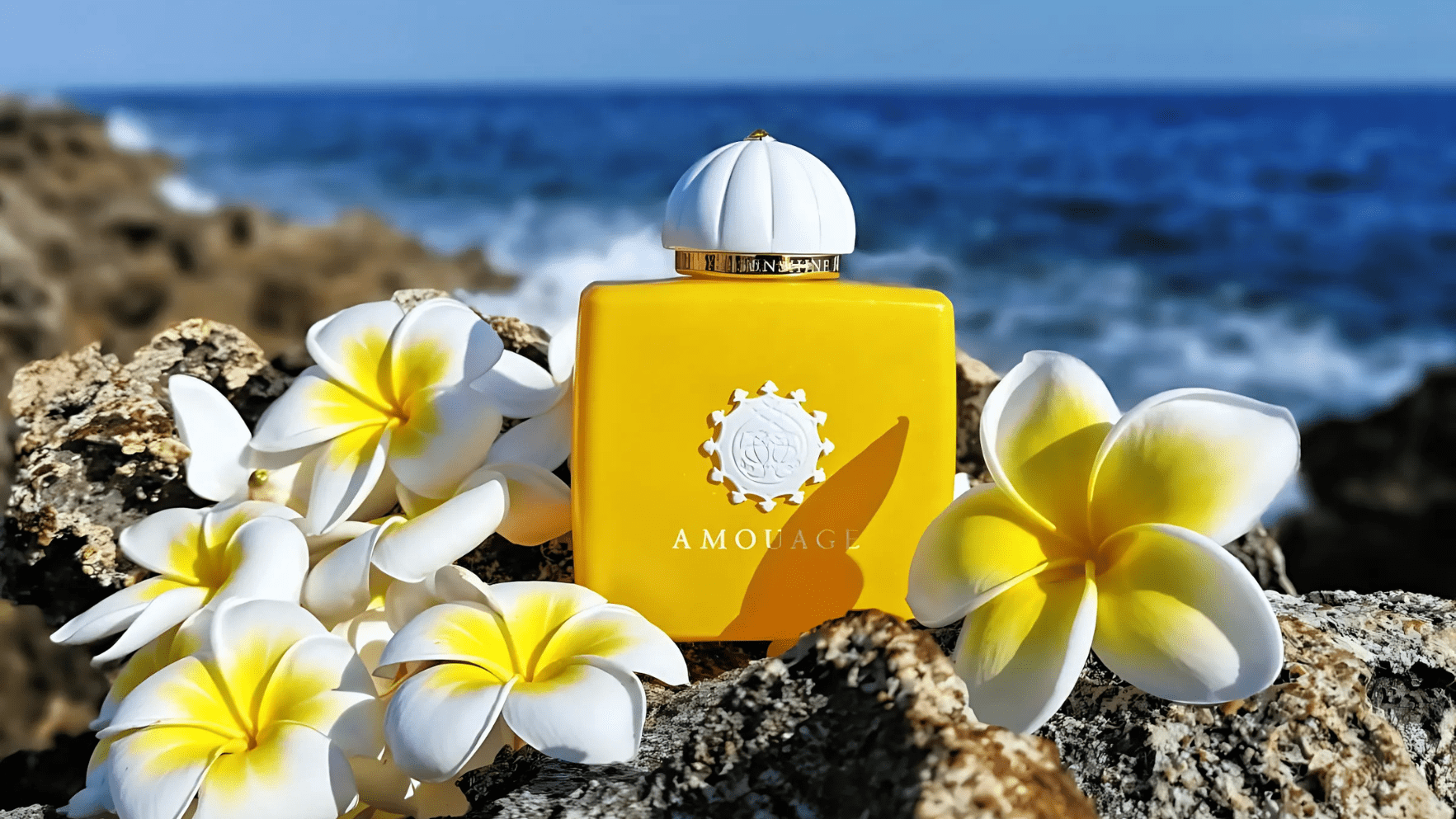 Amouage Sunshine Woman EDP Feature image