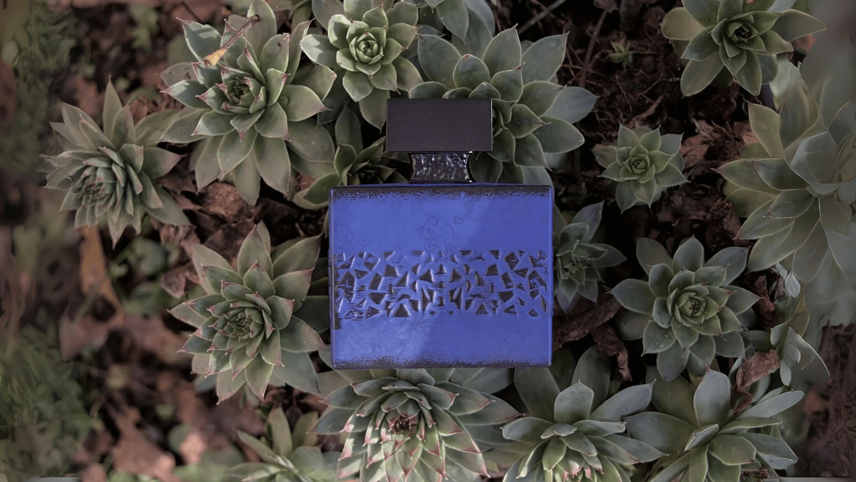 M.Micallef DesirToxic EDP Feature image