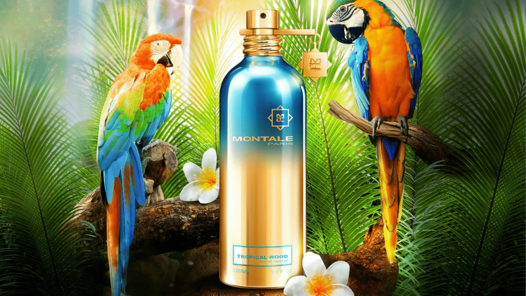 Montale Tropical Wood EDP Feature image