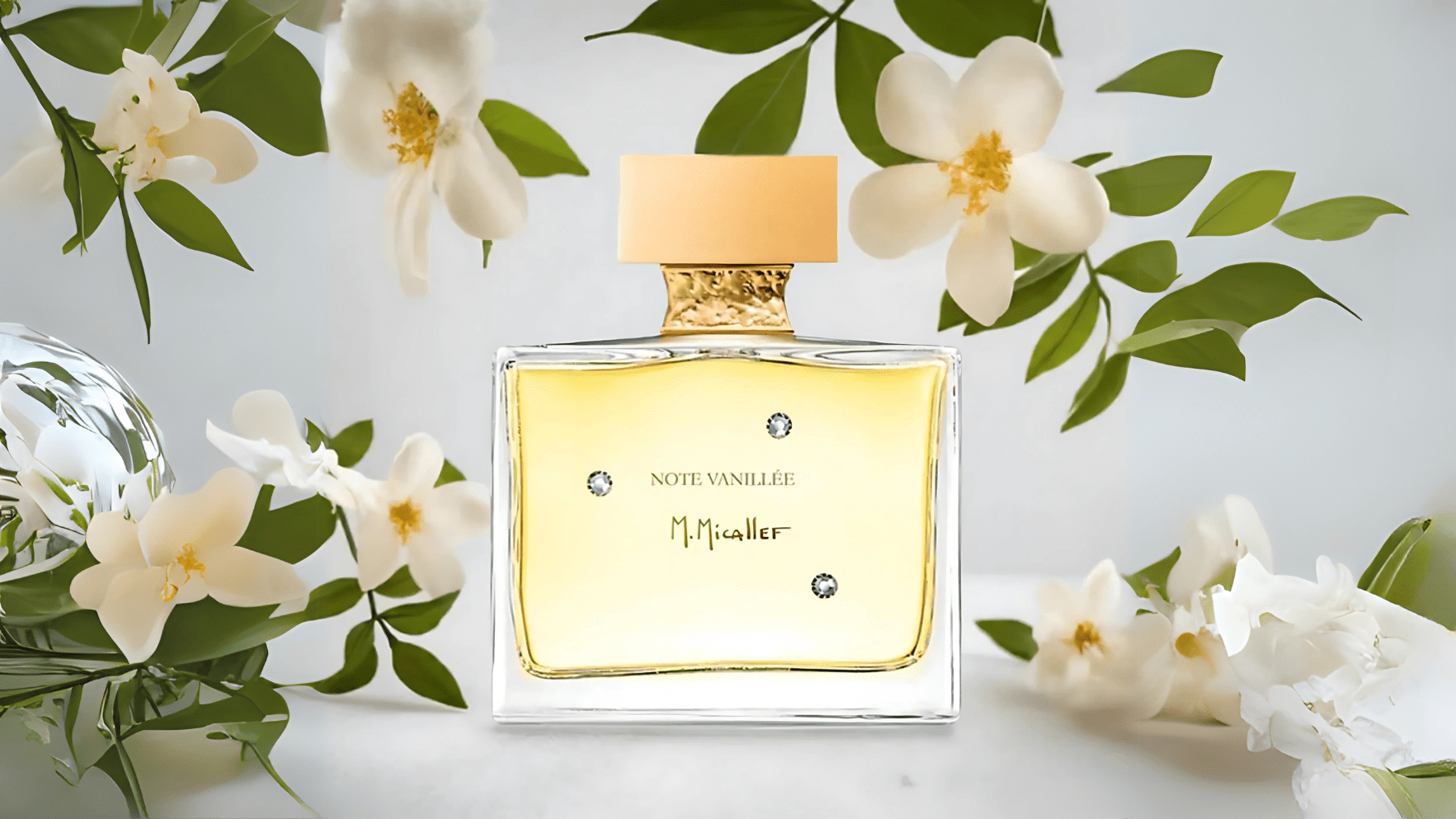 M.Micallef Note Vanillee EDP Feature image