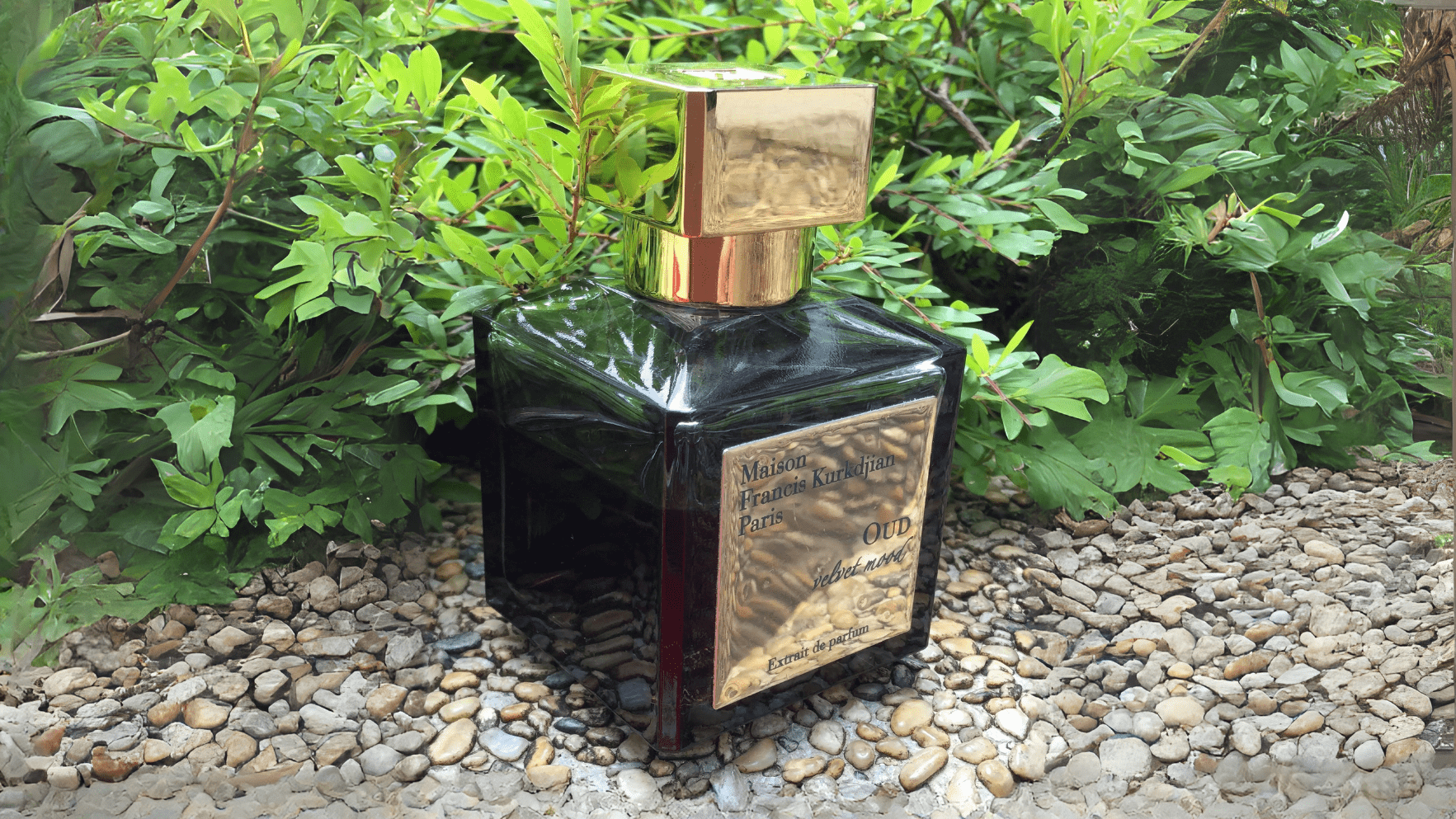 Maison Francis Kurkdjian Oud Velvet Mood Extrait De Parfum Feature image
