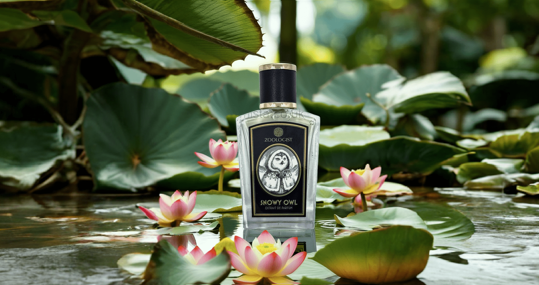 Zoologist Snowy Owl Extrait De Parfum Feature image