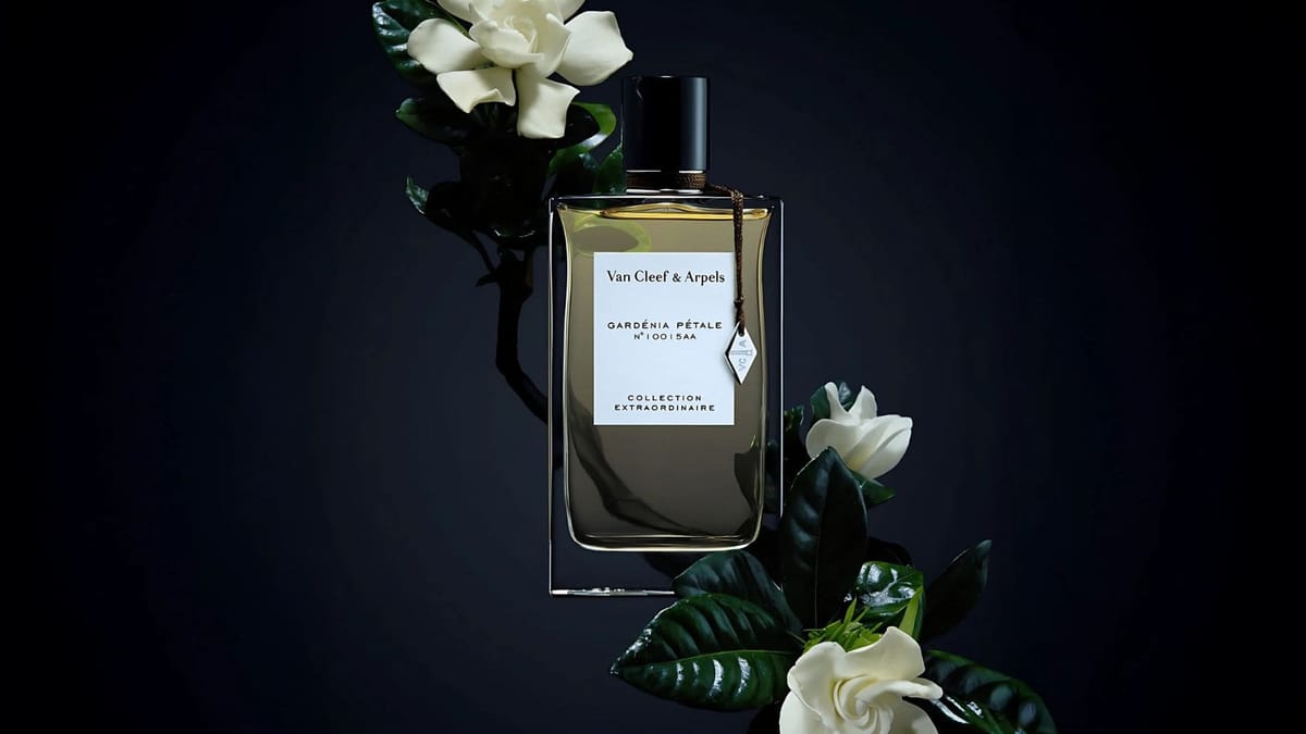 Van Cleef & Arpels Gardenia Petale EDP Feature image