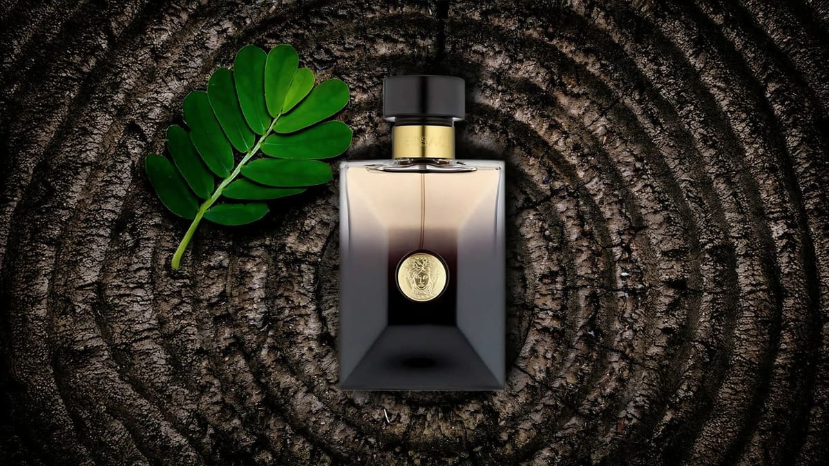Versace Oud Noir Pour Homme EDP Feature image