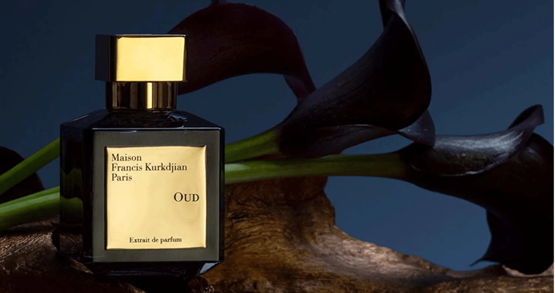 Maison Francis Kurkdjian Oud Extrait De Parfum Feature image