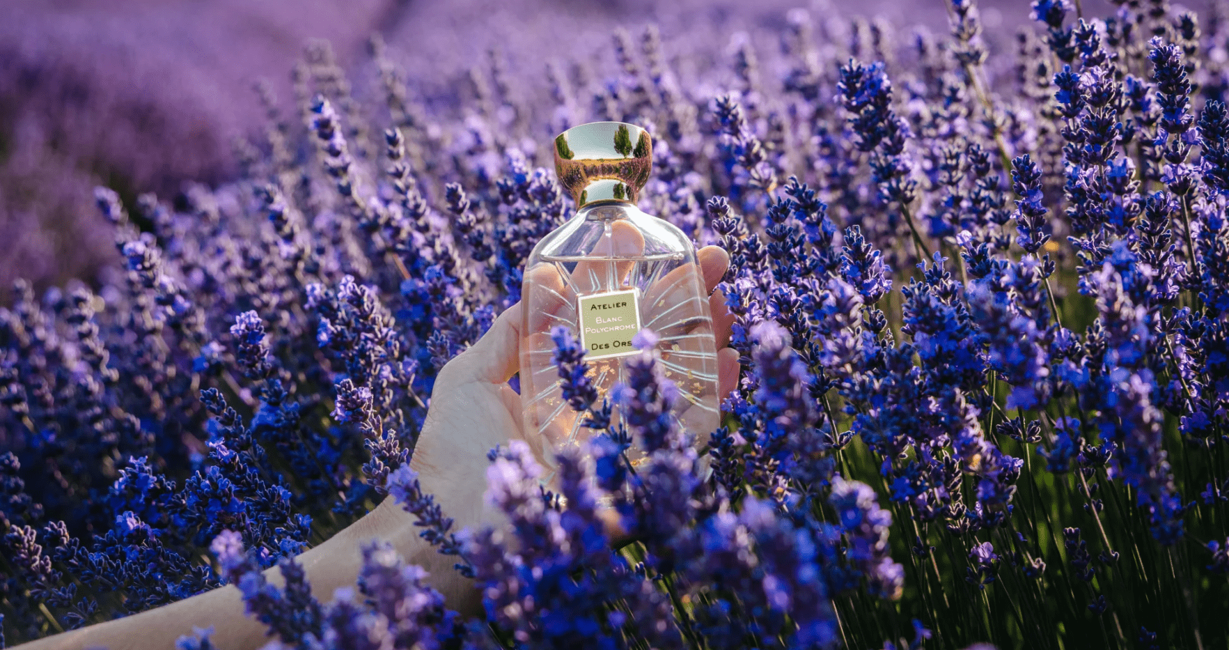 Atelier Des Ors Blanc Polychrome EDP Feature image