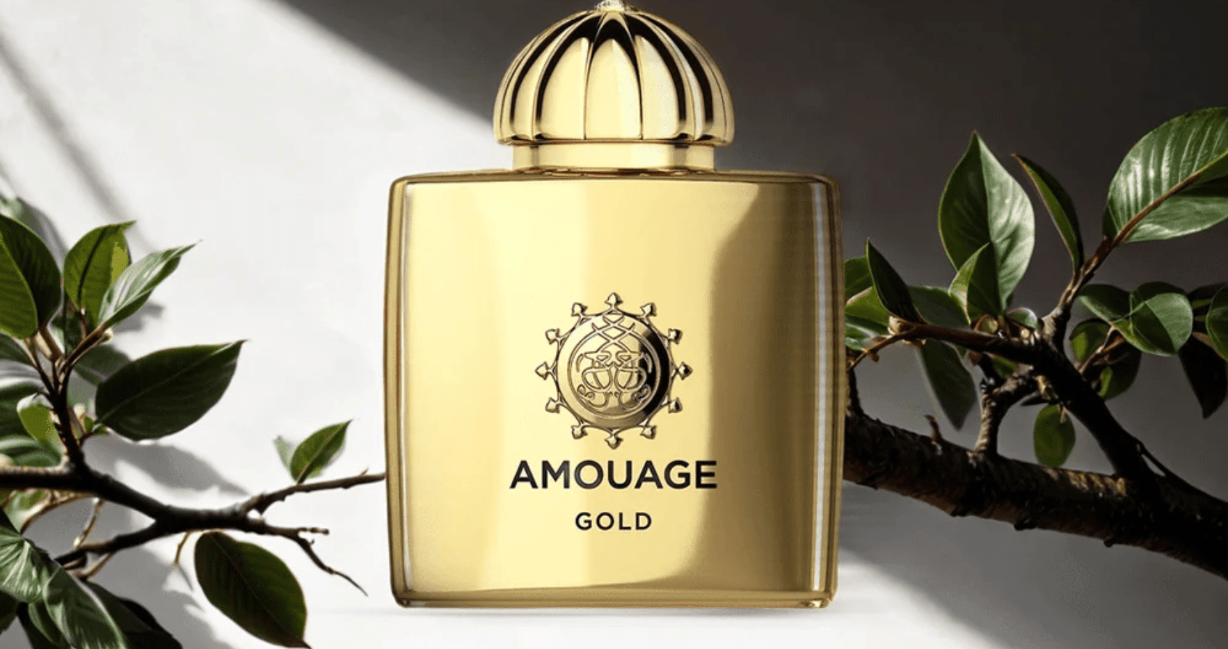 Amouage Gold Woman EDP Feature image