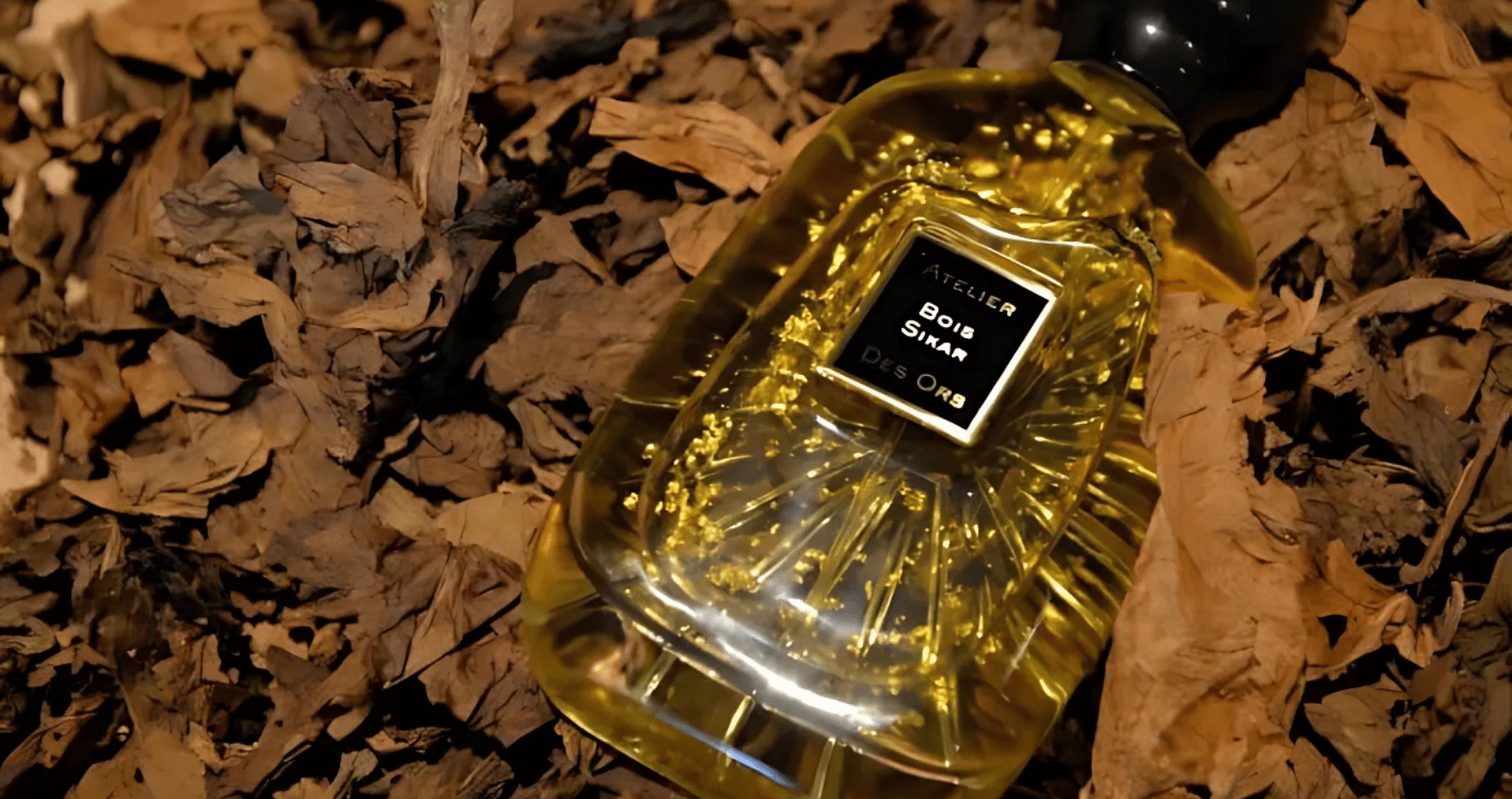 Atelier Des Ors Bois Sikar EDP Feature image