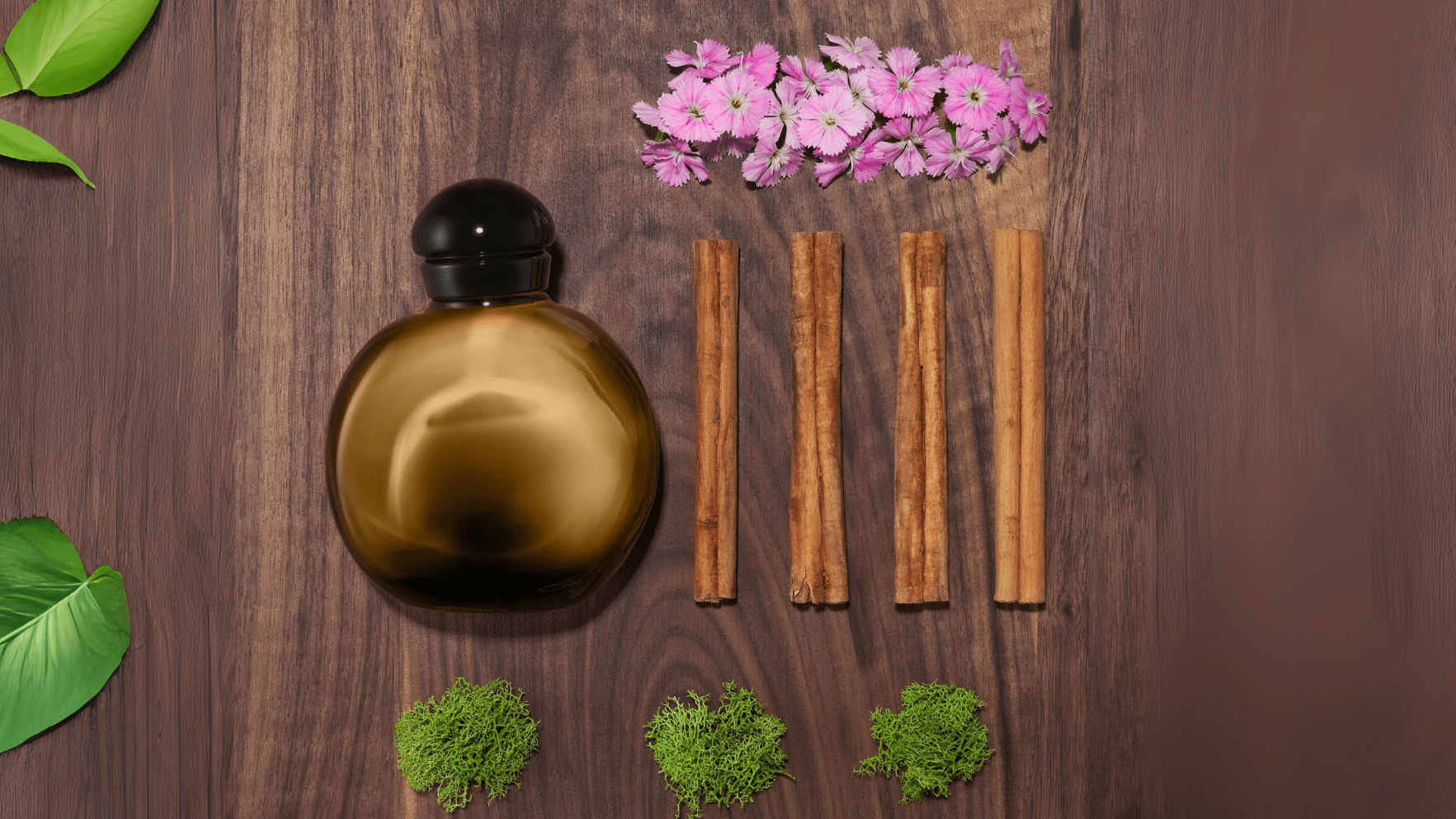 Halston Halston Z EDT Feature image