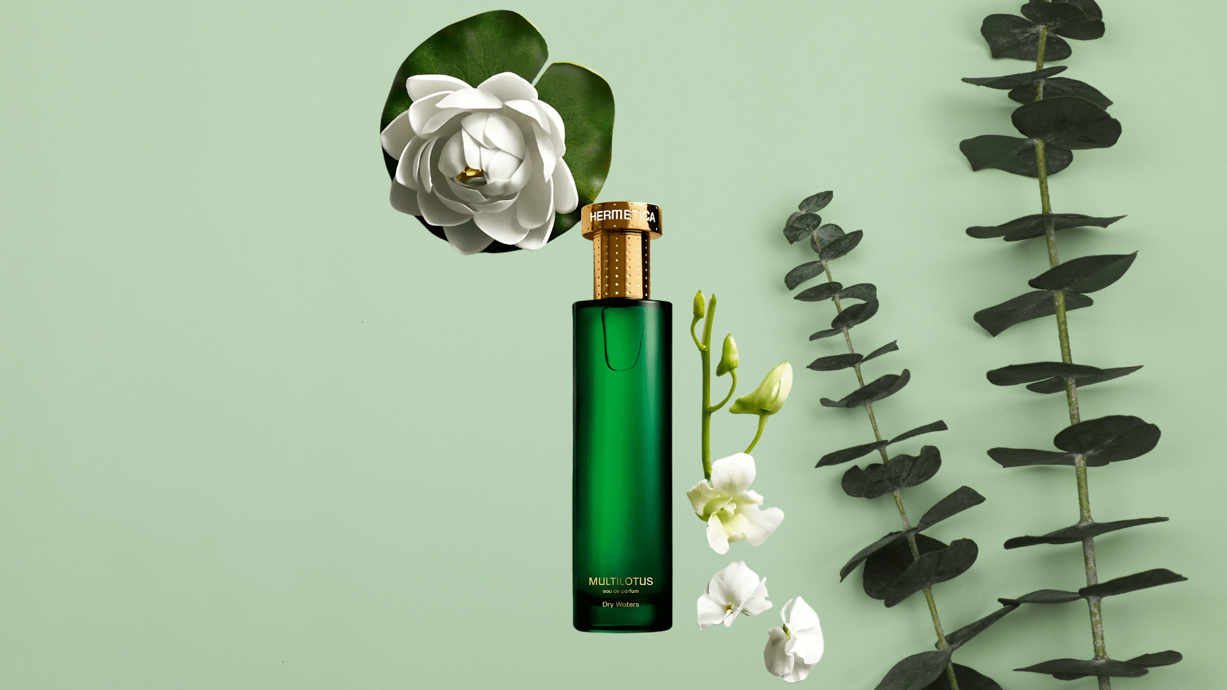 Hermetica Multilotus EDP Feature image