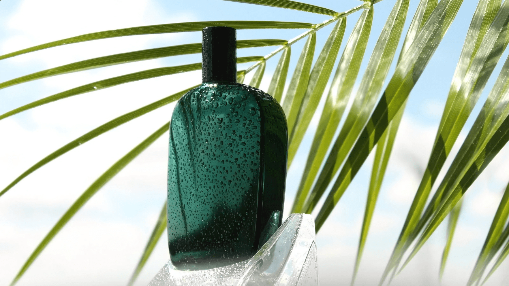 Comme Des Garçons Amazingreen EDP Feature image