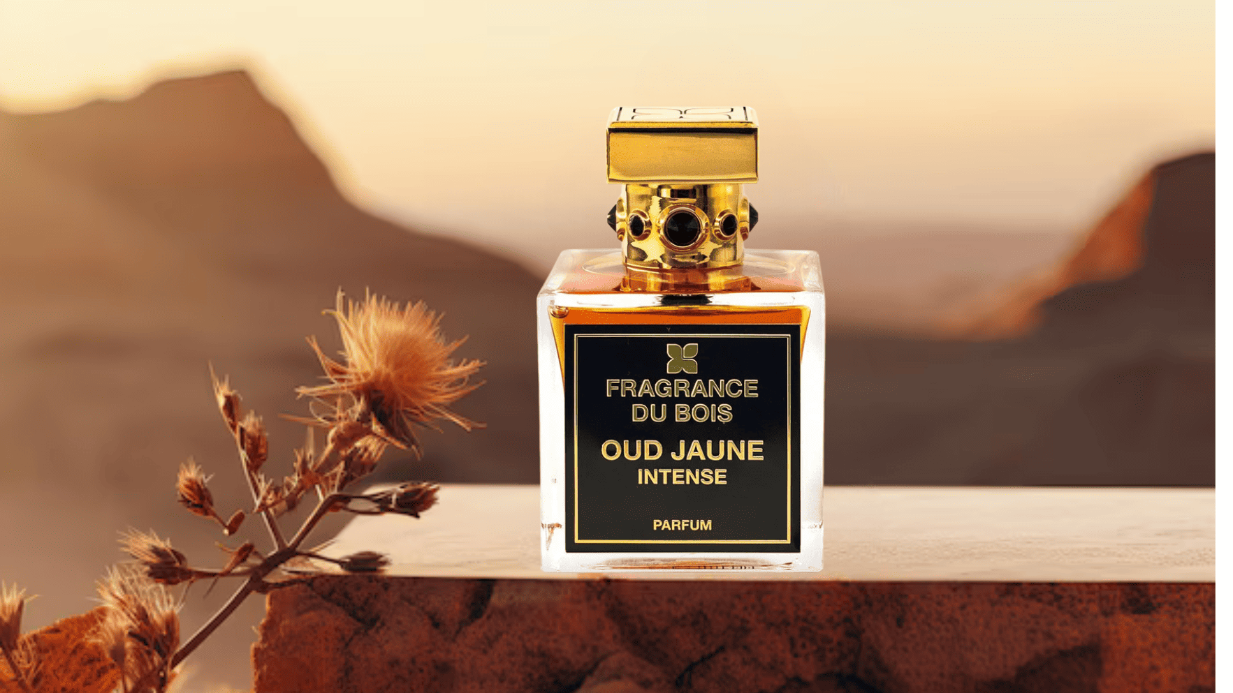 Fagrance du bois - Oud Jaune Intense Parfum Feature image