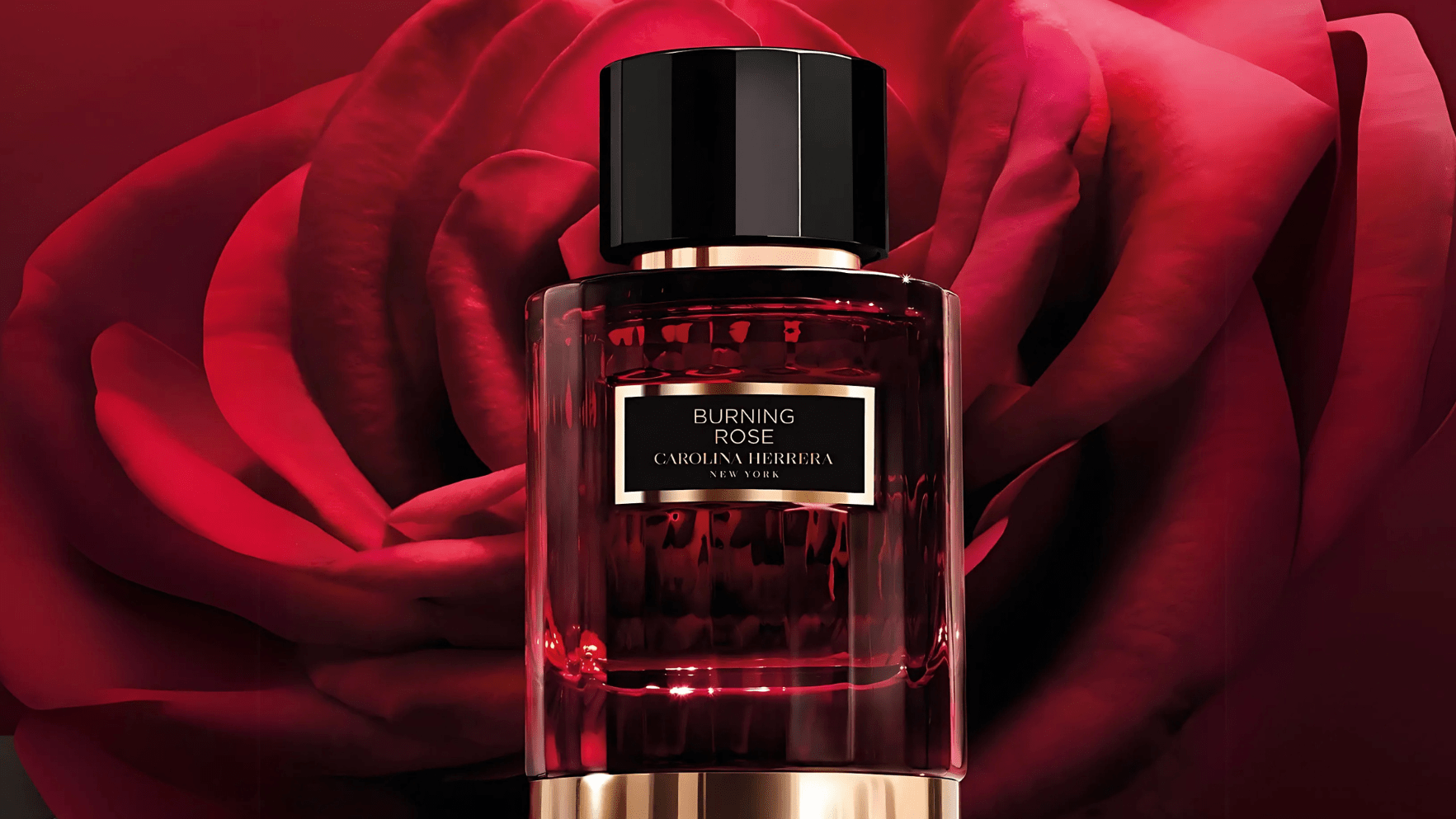 Carolina Herrera Burning Rose EDP Feature image