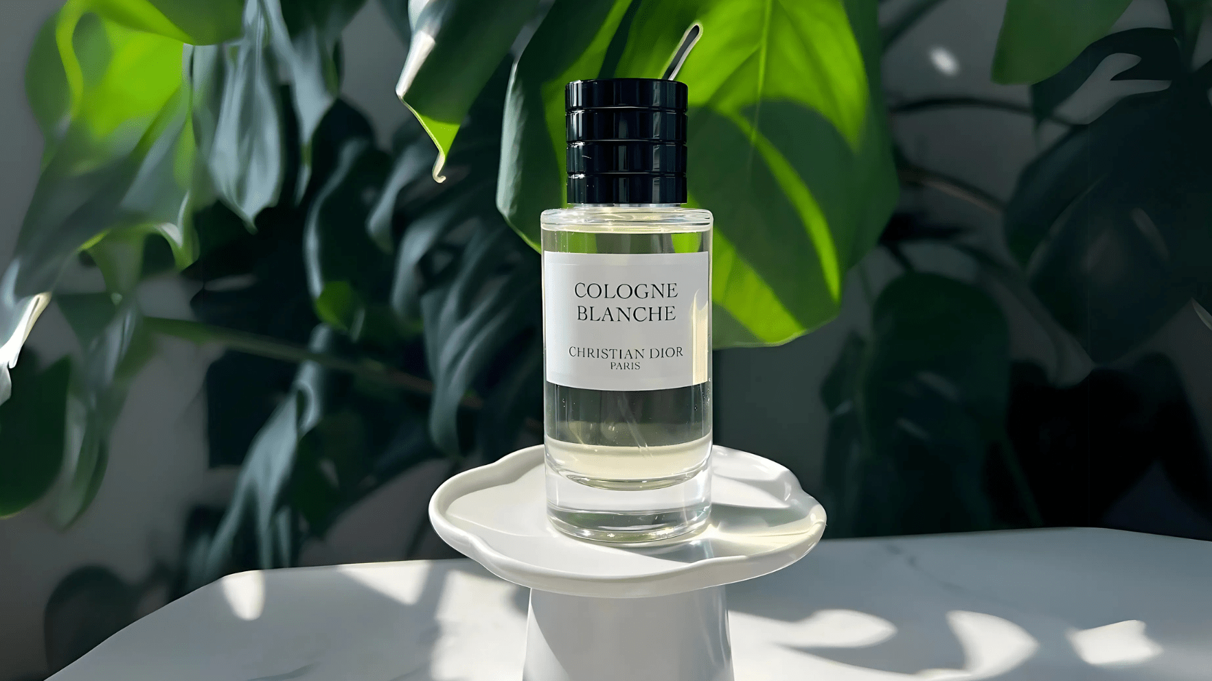 Christian Dior Cologne Blanche EDP Feature image