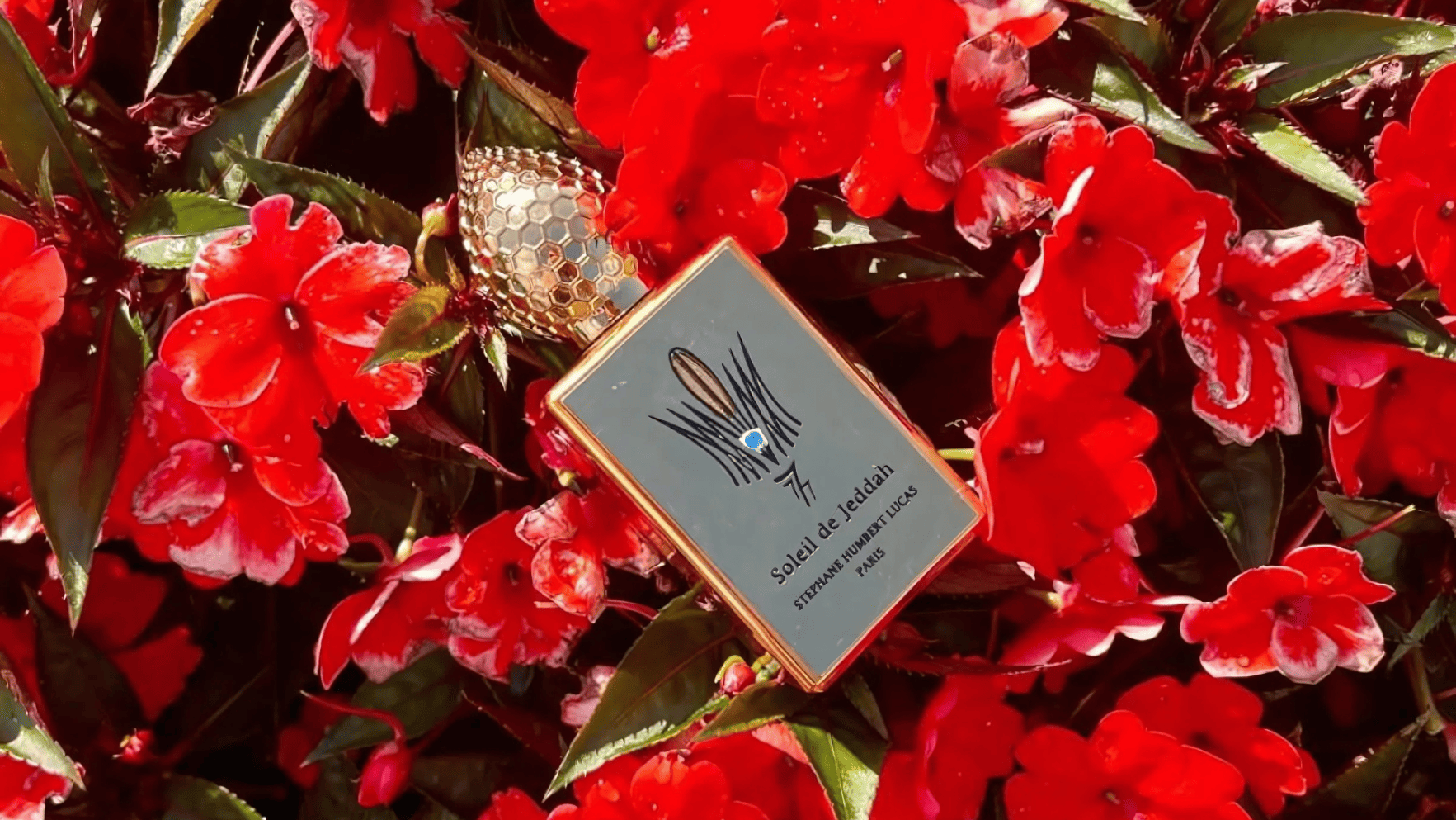 Stephane Humbert Lucas Soleil De Jeddah Mango Kiss EDP Feature image