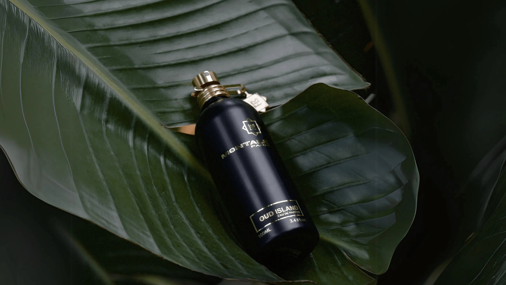 Montale Oud Island EDP Feature image