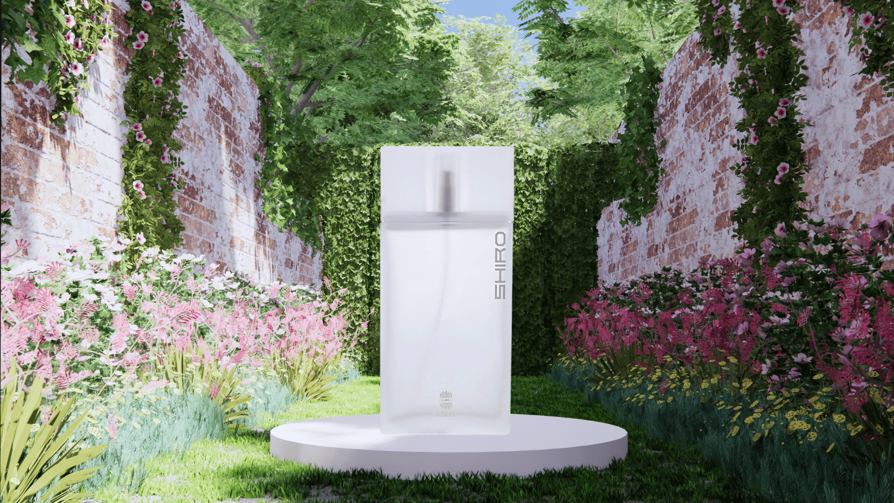 Ajmal Shiro EDP Feature image