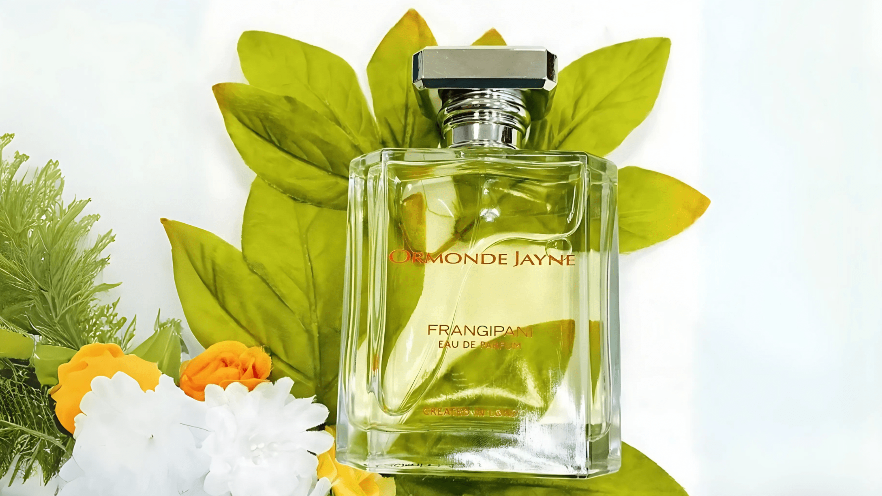 Ormonde Jayne Frangipani EDP Feature image