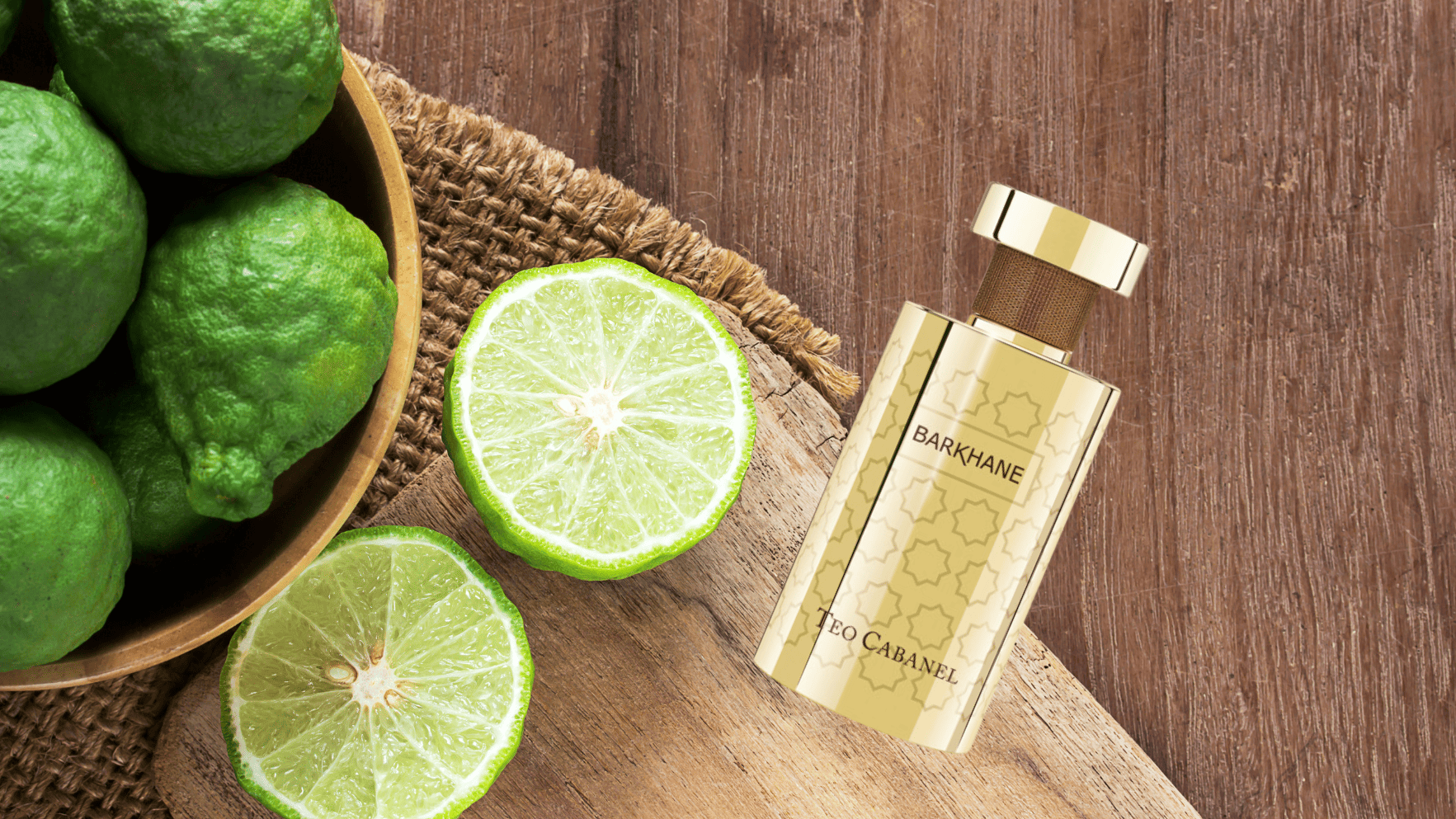 Teo Cabanel Barkhane EDP Feature image