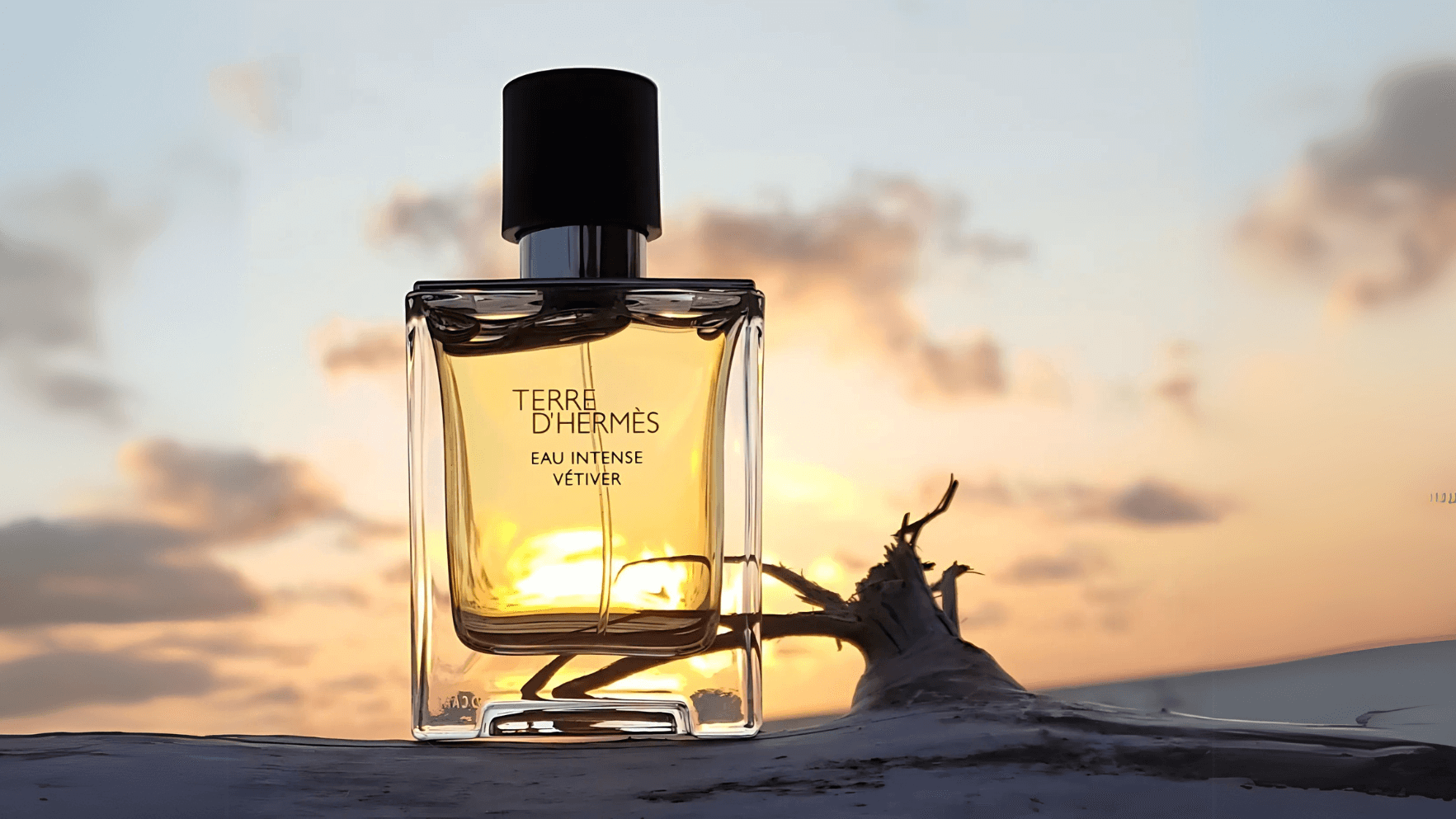 Hermès Terre d'Hermès Eau Intense Vetriver EDP Feature image