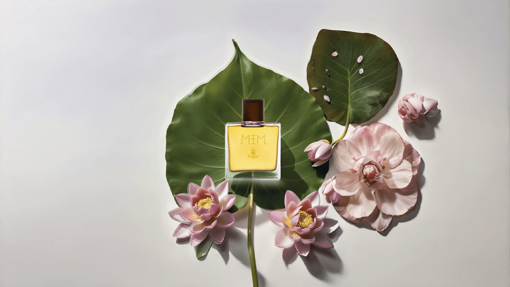 Bogue Mem EDP Feature image