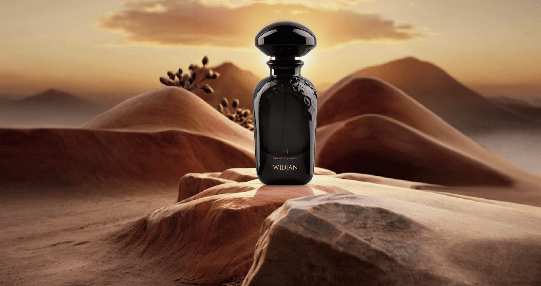 Widian Black III Parfum Feature image