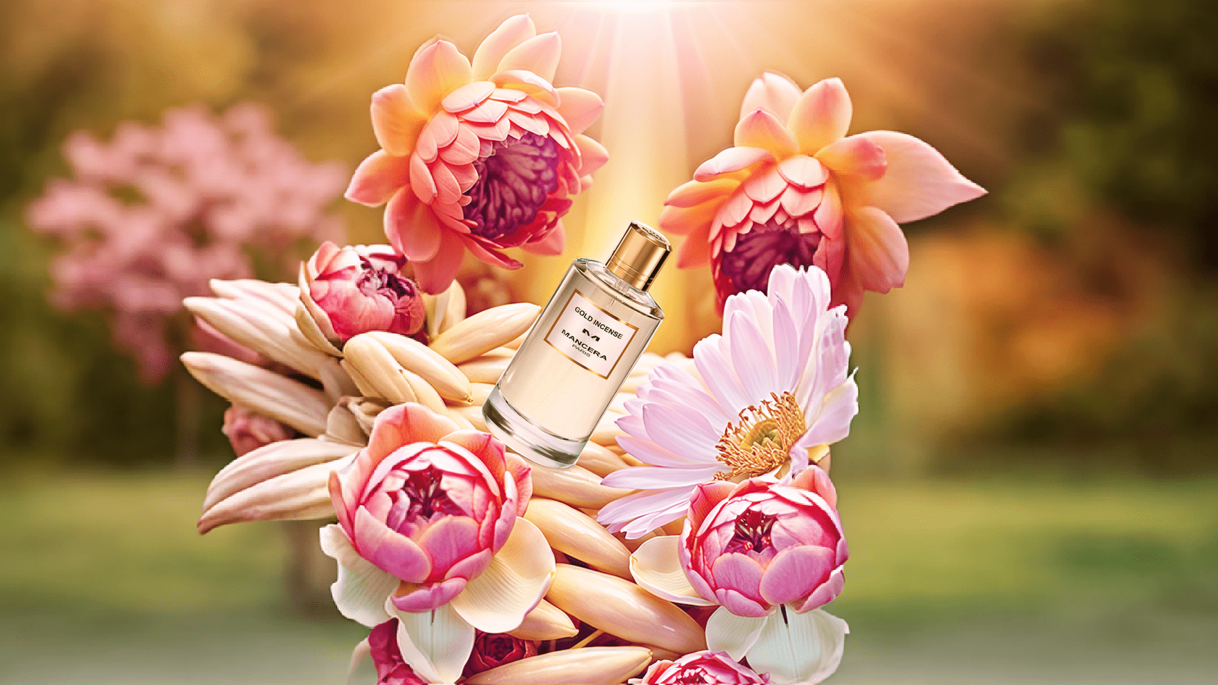 Mancera Gold Incense EDP Feature image