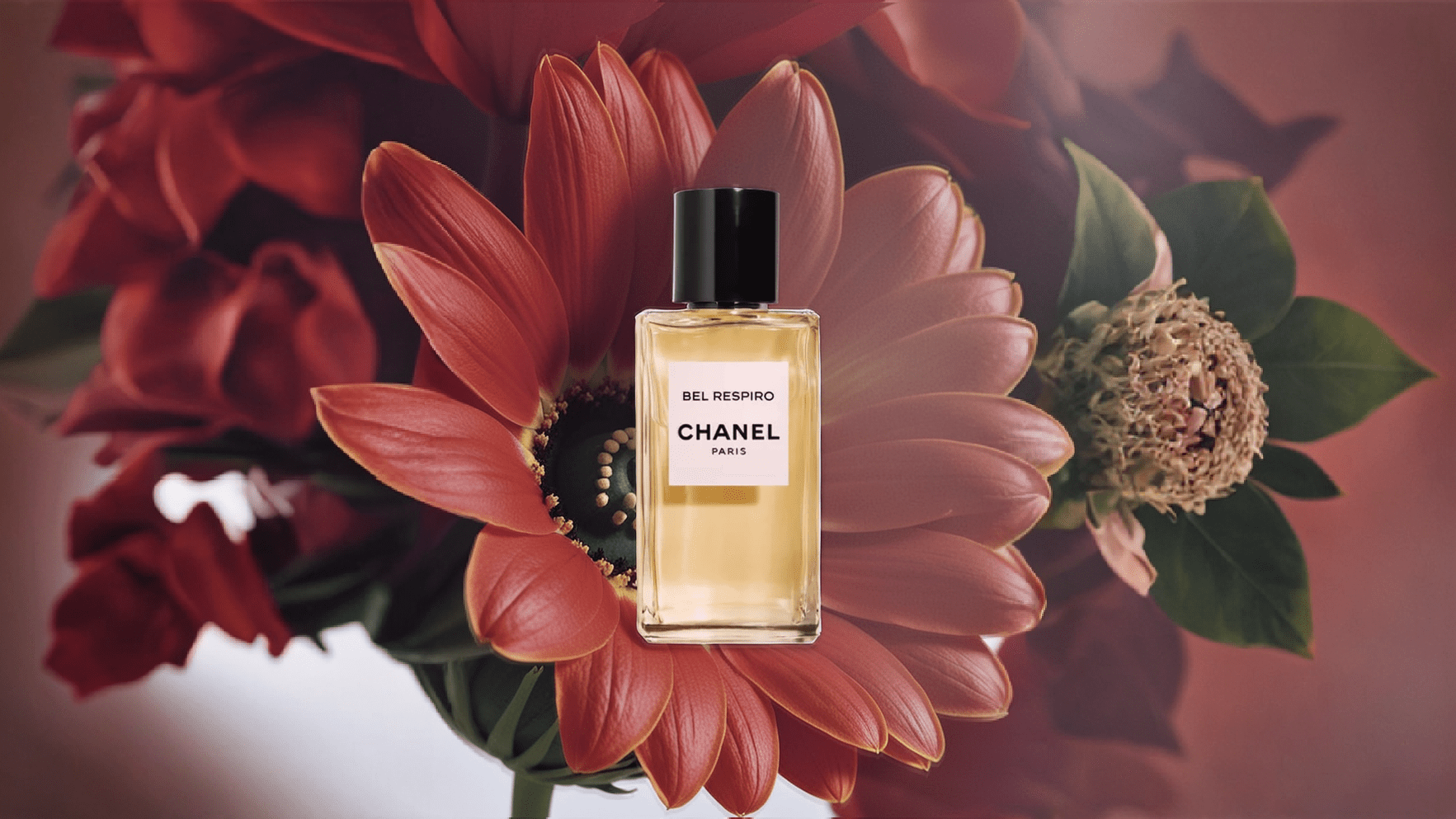 Chanel Bel Respiro EDP Feature image