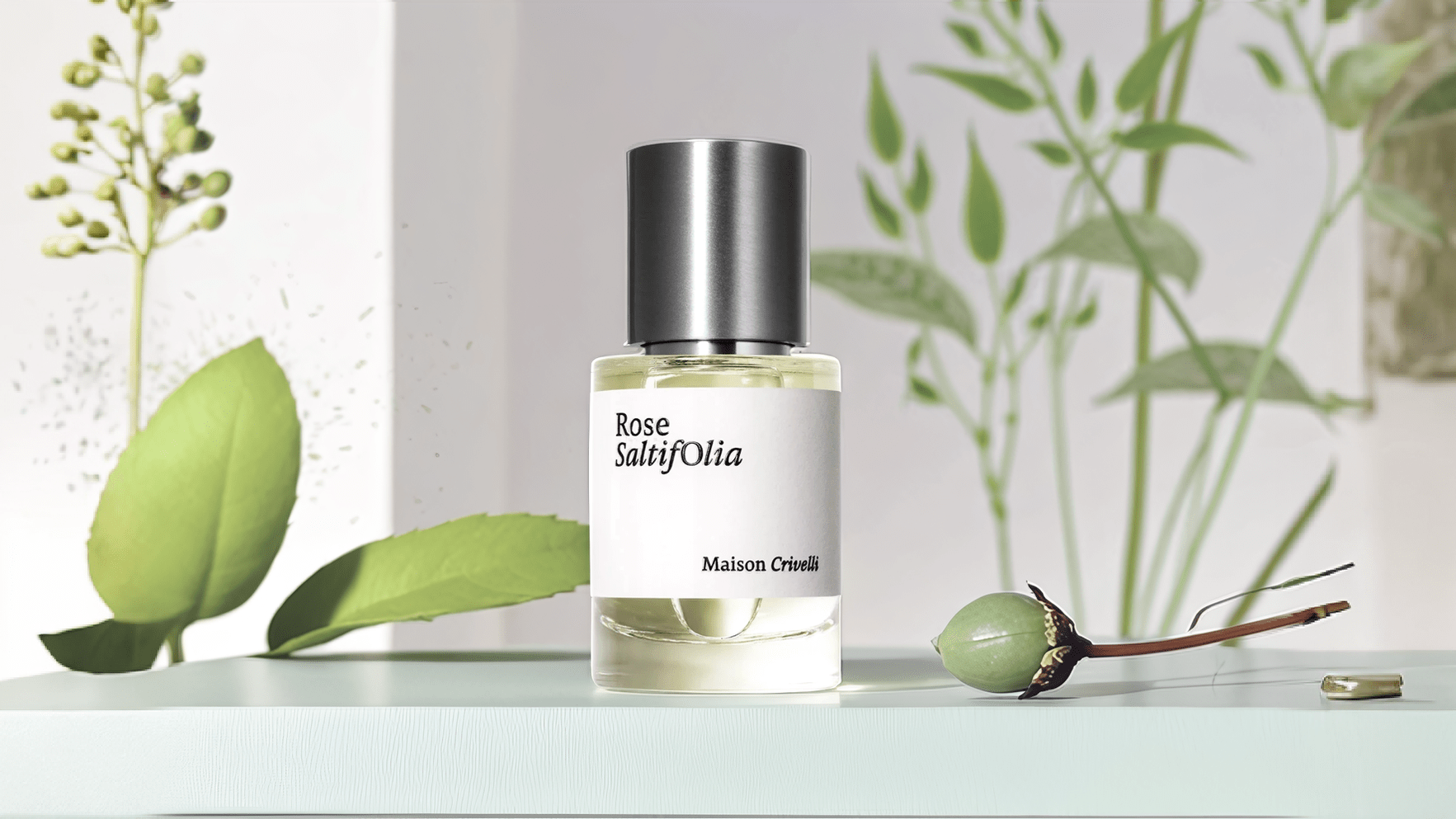 Maison Crivelli Rose Saltifolia EDP Feature image