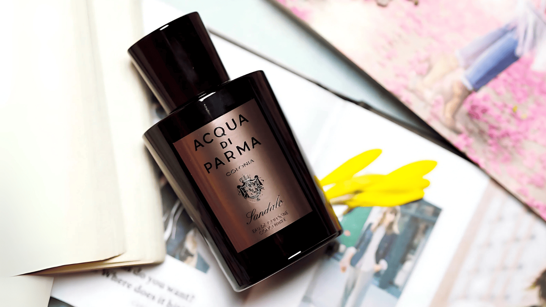 Acqua Di Parma Colonia Sandalo EDC Feature image