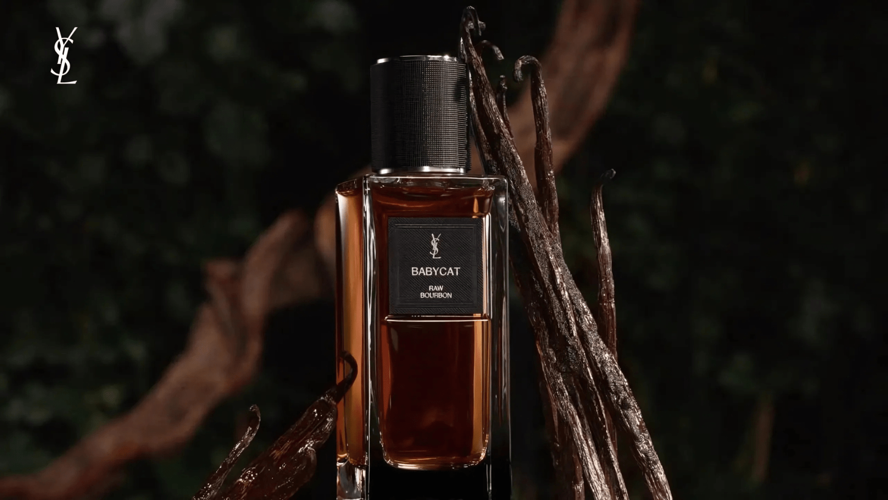 YSL Babycat EDP Feature image