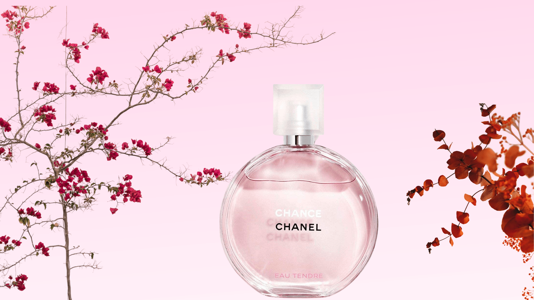 Chanel Chance Eau Tendre EDT Feature image