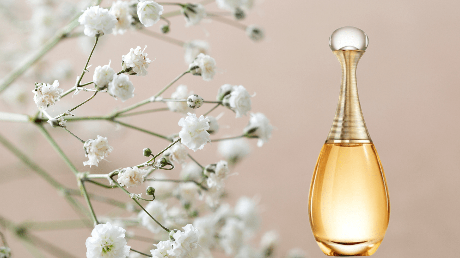 Dior J'adore L'Or EDP Feature image